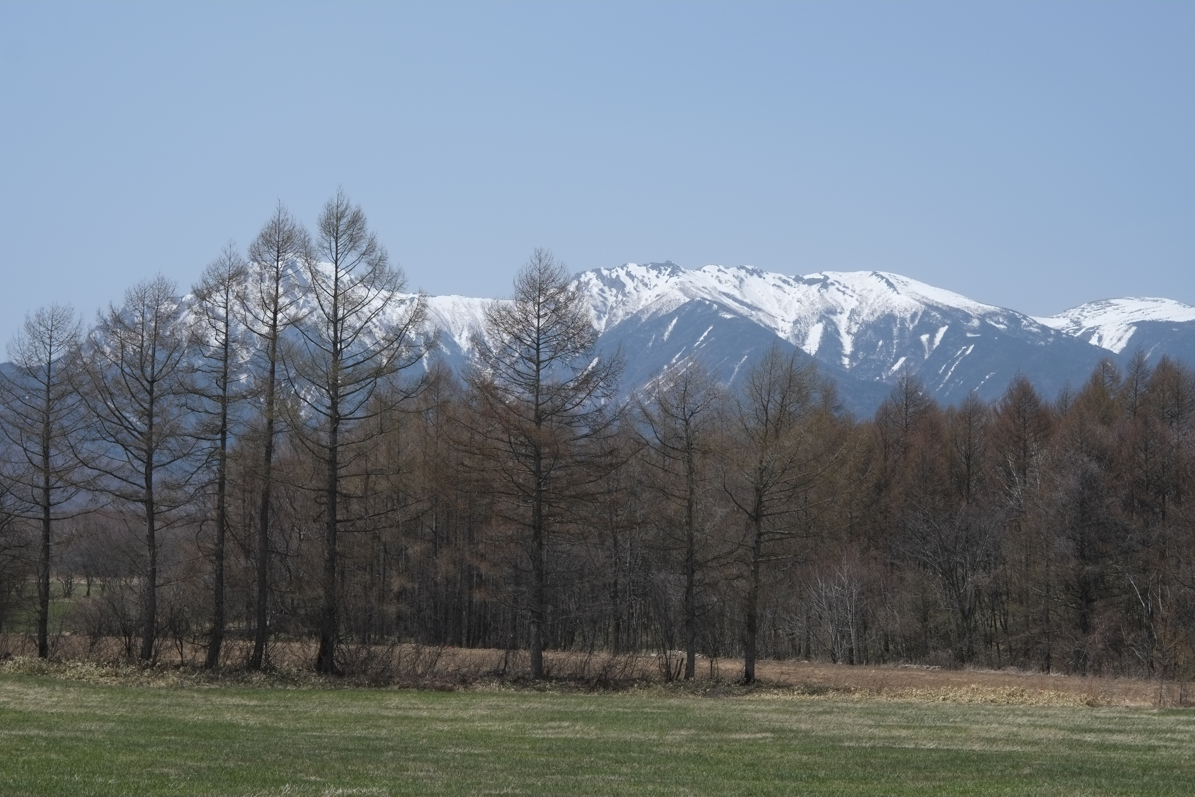 1/480秒 / -0.3EV / ISO200 / 絞り優先AE / WB：オート / 50mm