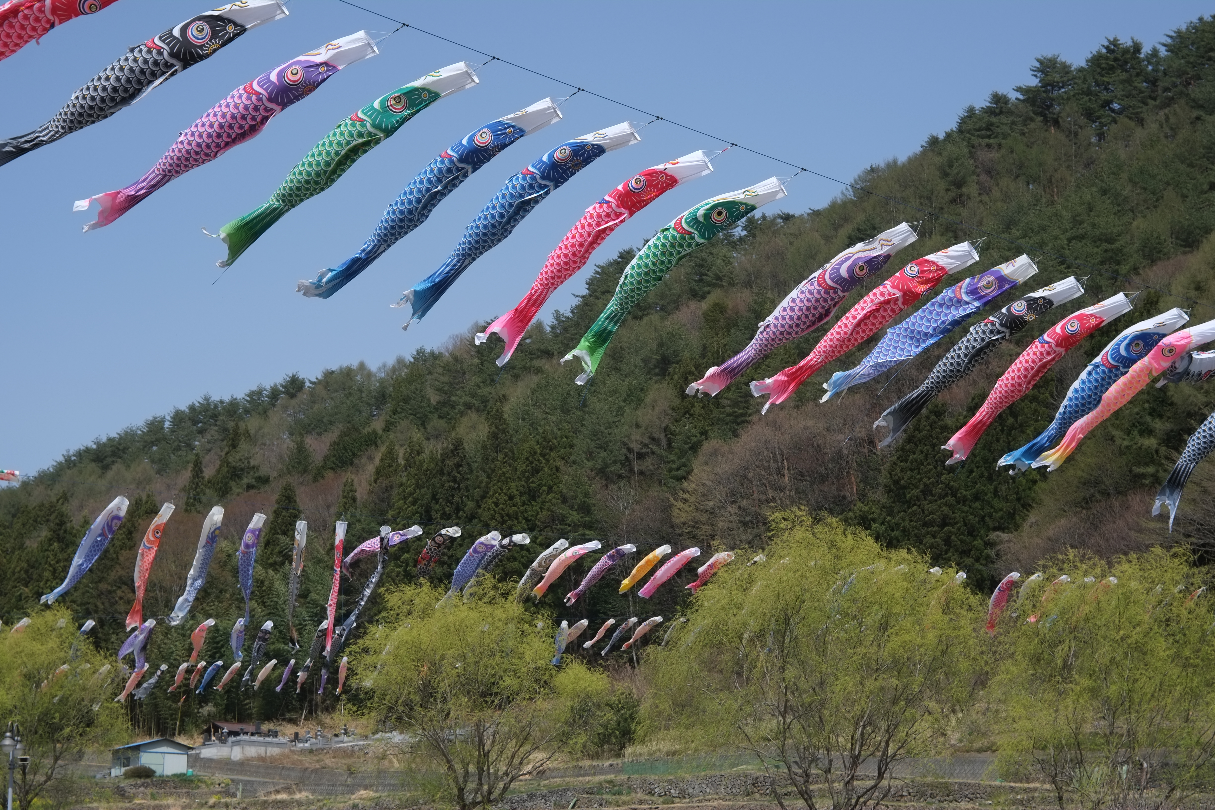 1/950秒 / -0.3EV / ISO200 / 絞り優先AE / WB：晴れ / 50mm