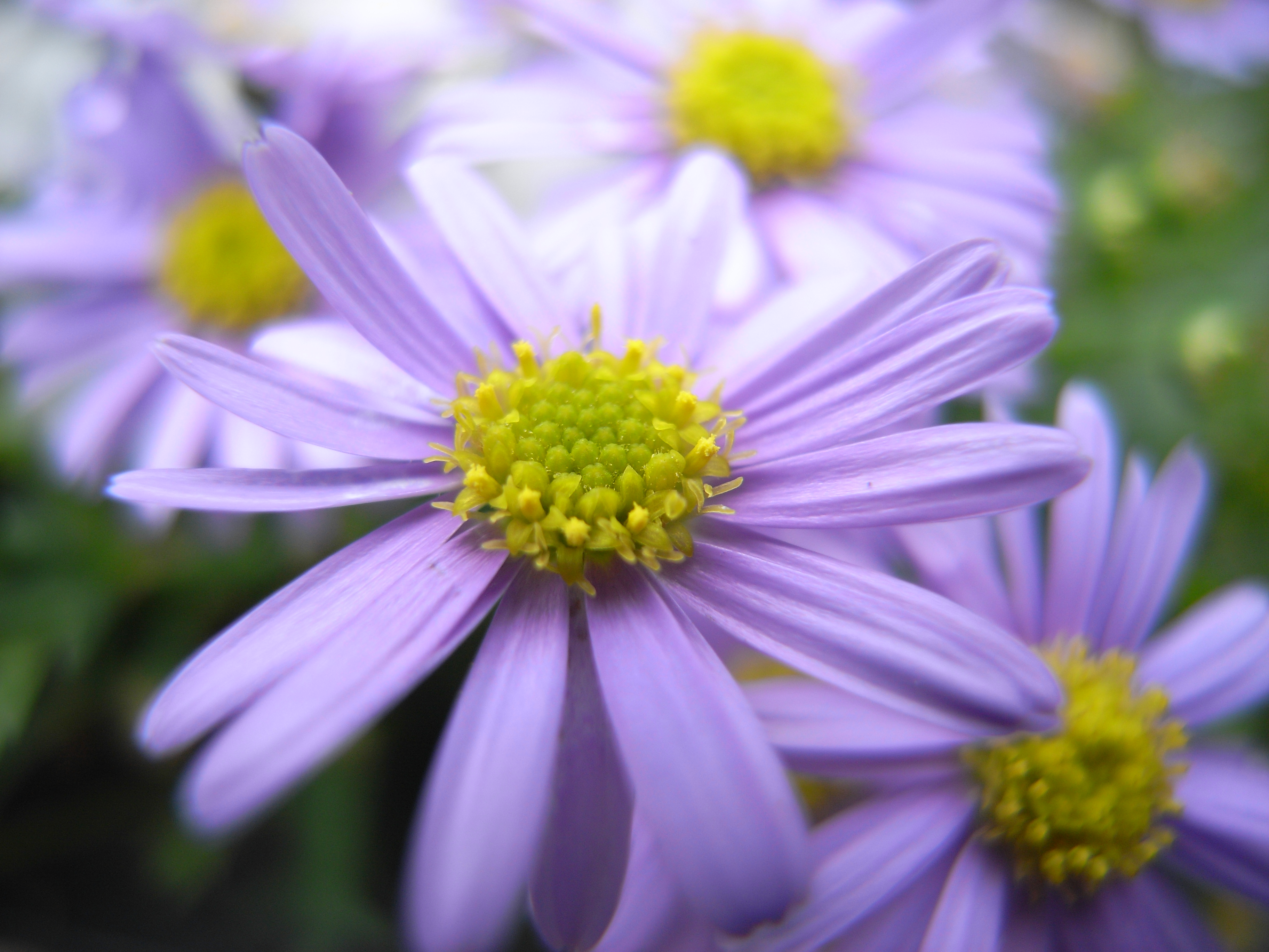 広角端（24mm相当）の最短近くで撮影