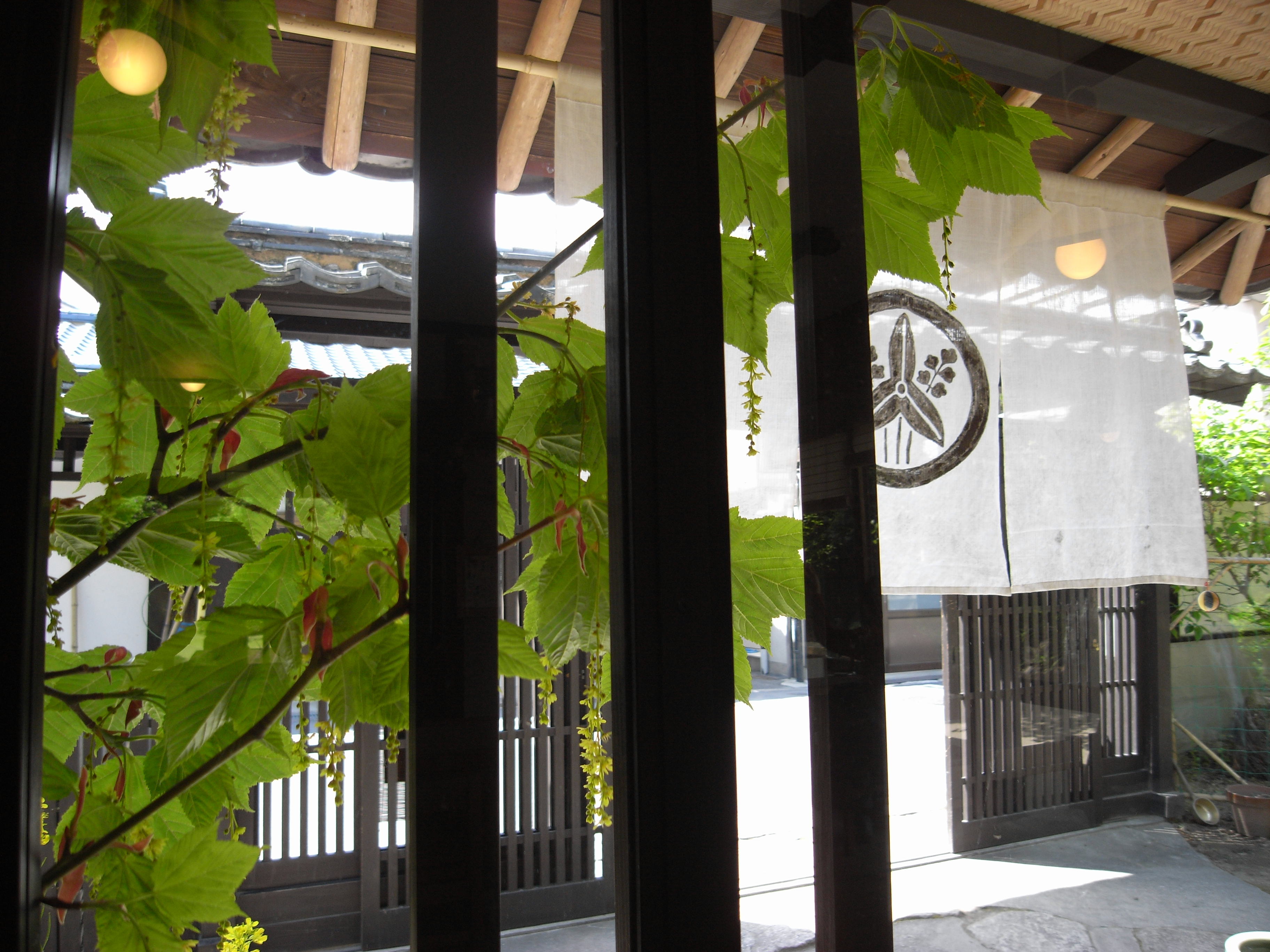 Caplio GX100 / 3,648×2,736 / 1/160秒 / F2.5 / 0EV / ISO80 / 5mm