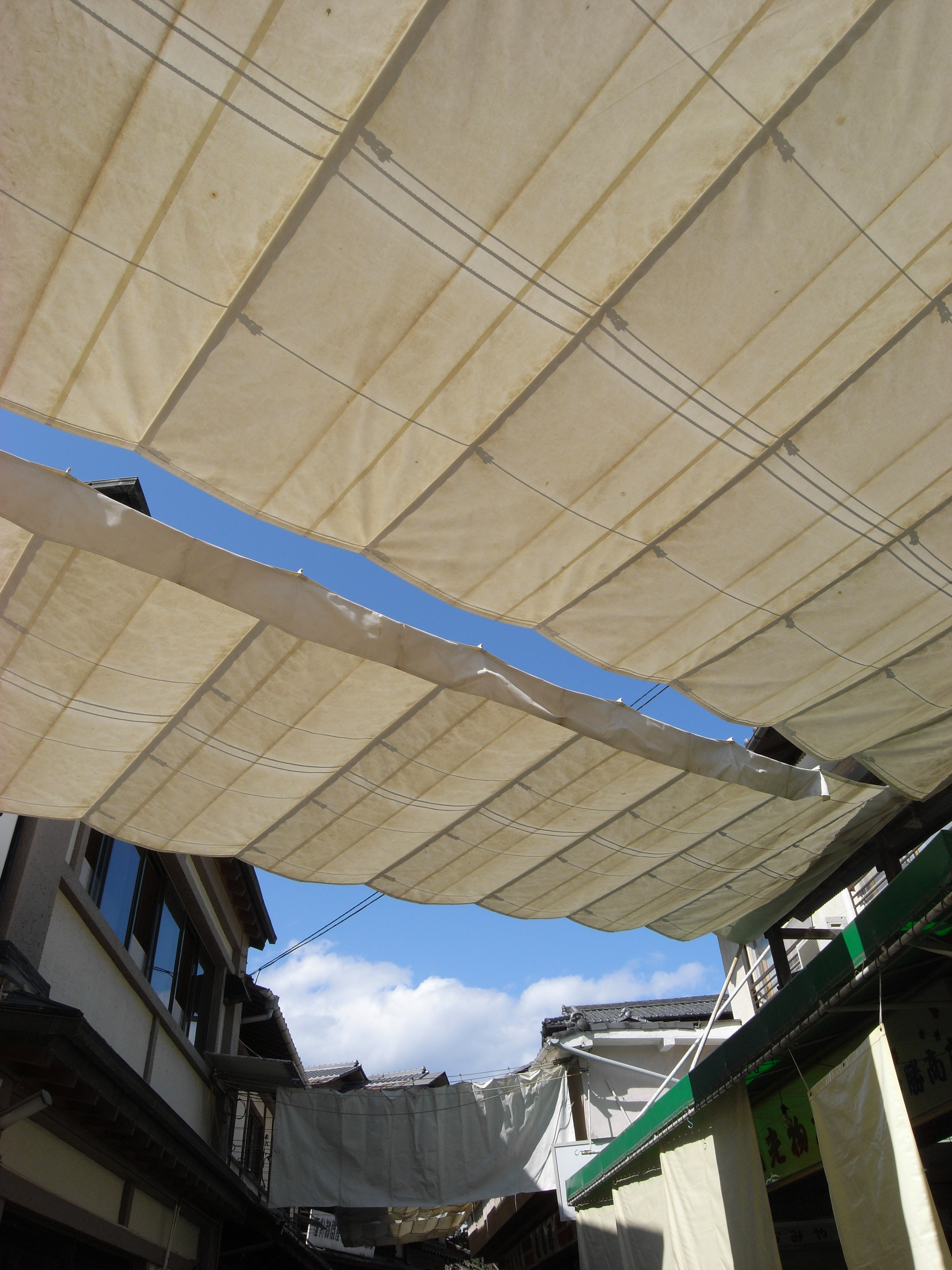 Caplio GX100 / 2,736×3,648 / 1/500秒 / F5.7 / +0.3EV / ISO80 / 5mm