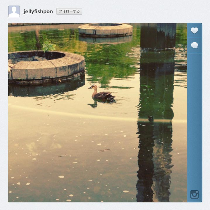 Web版Instagramの動画再生ページ。今回の記事のため撮影したサンプルは、<a class="" href="http://instagram.com/jellyfishpon"><u class="">こちらのページ</u></a>にあります