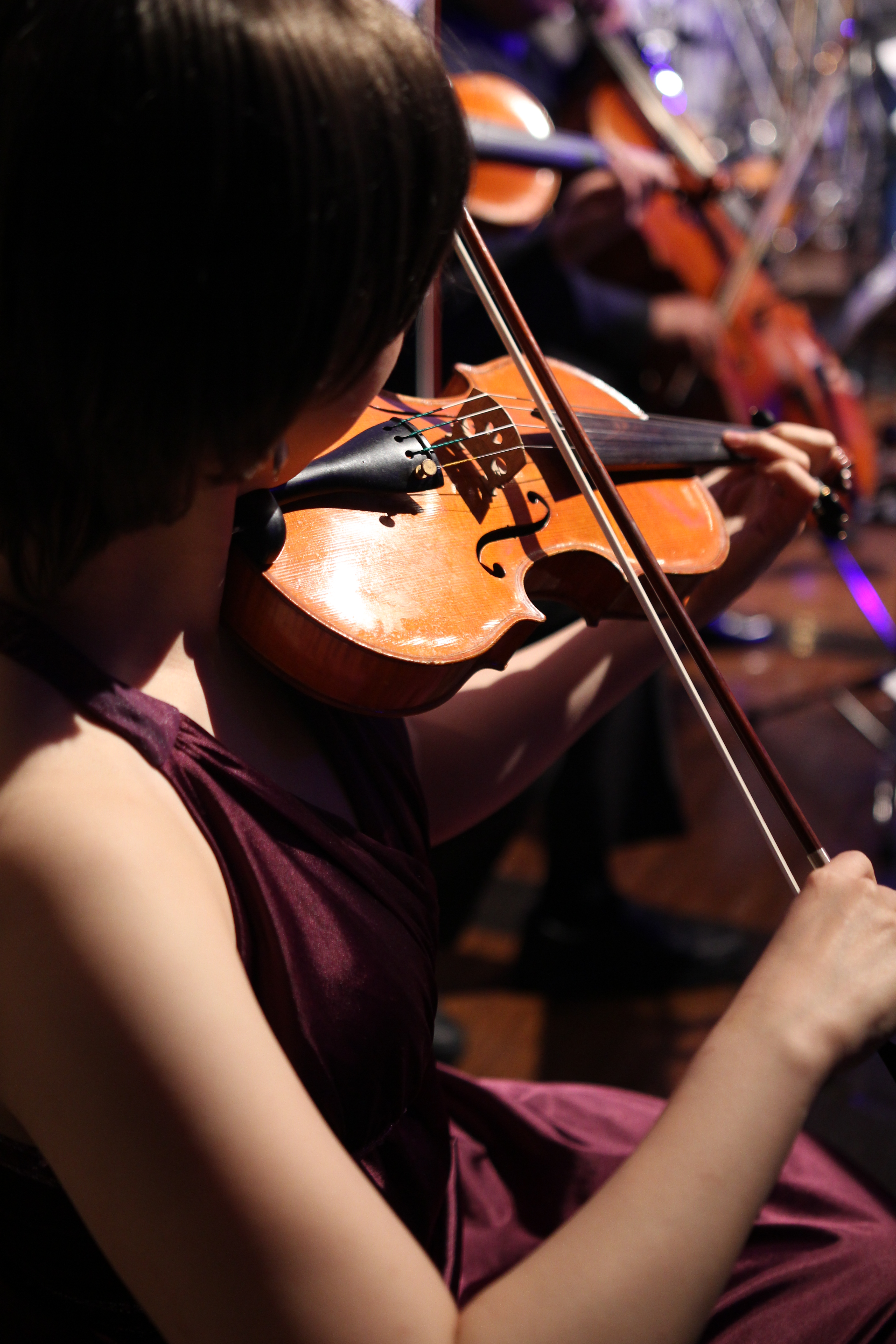 EOS 60D / 1/250秒 / F1.8 / -0.3EV / ISO800 / 絞り優先AE / WB：オート / 31mm