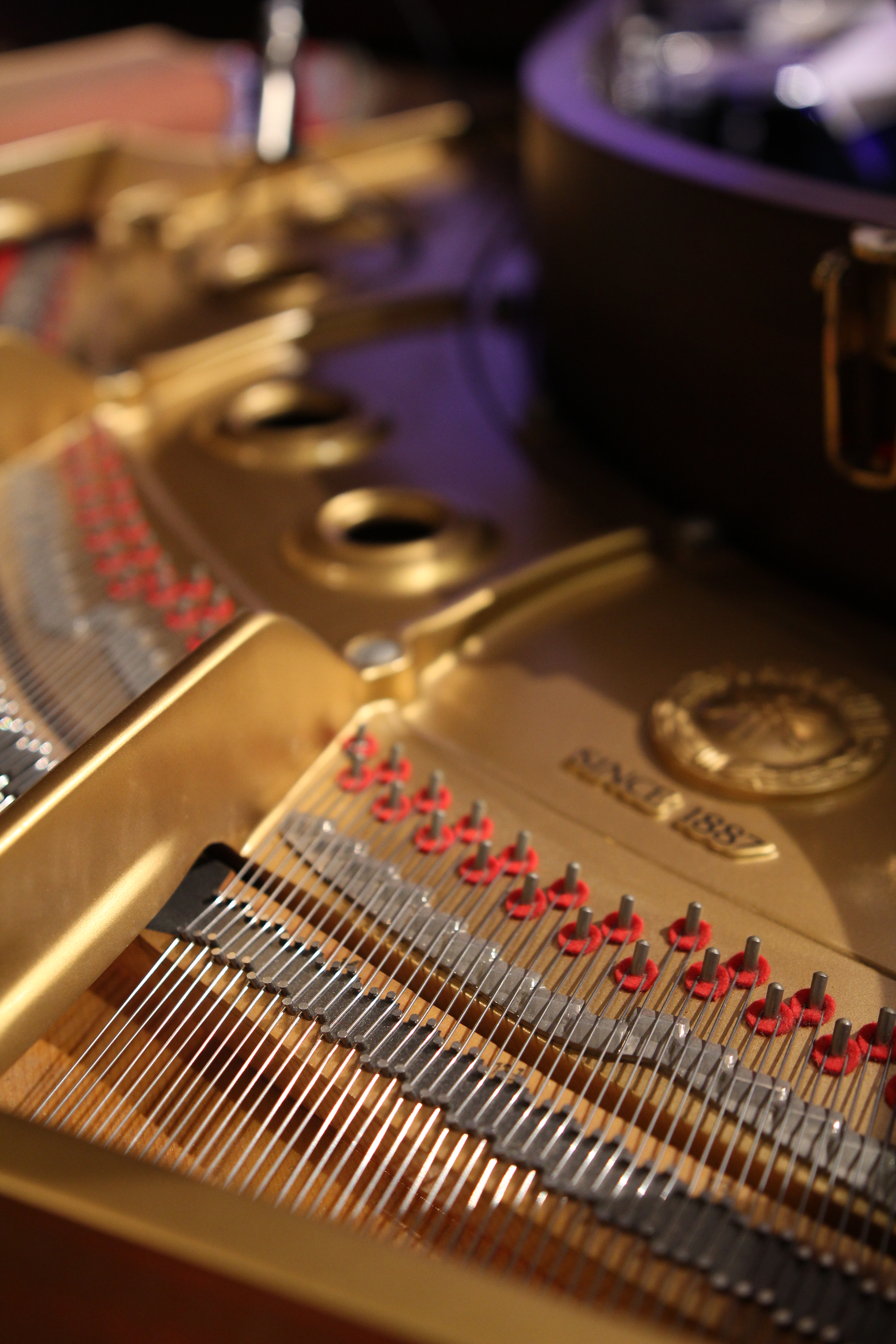 EOS 60D / 1/400秒 / F1.8 / -0.3EV / ISO800 / 絞り優先AE / WB：オート / 23mm