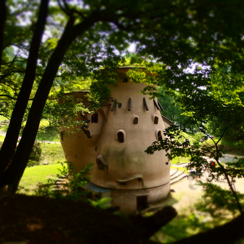 四隅の木がボケて自然のフレームのように……