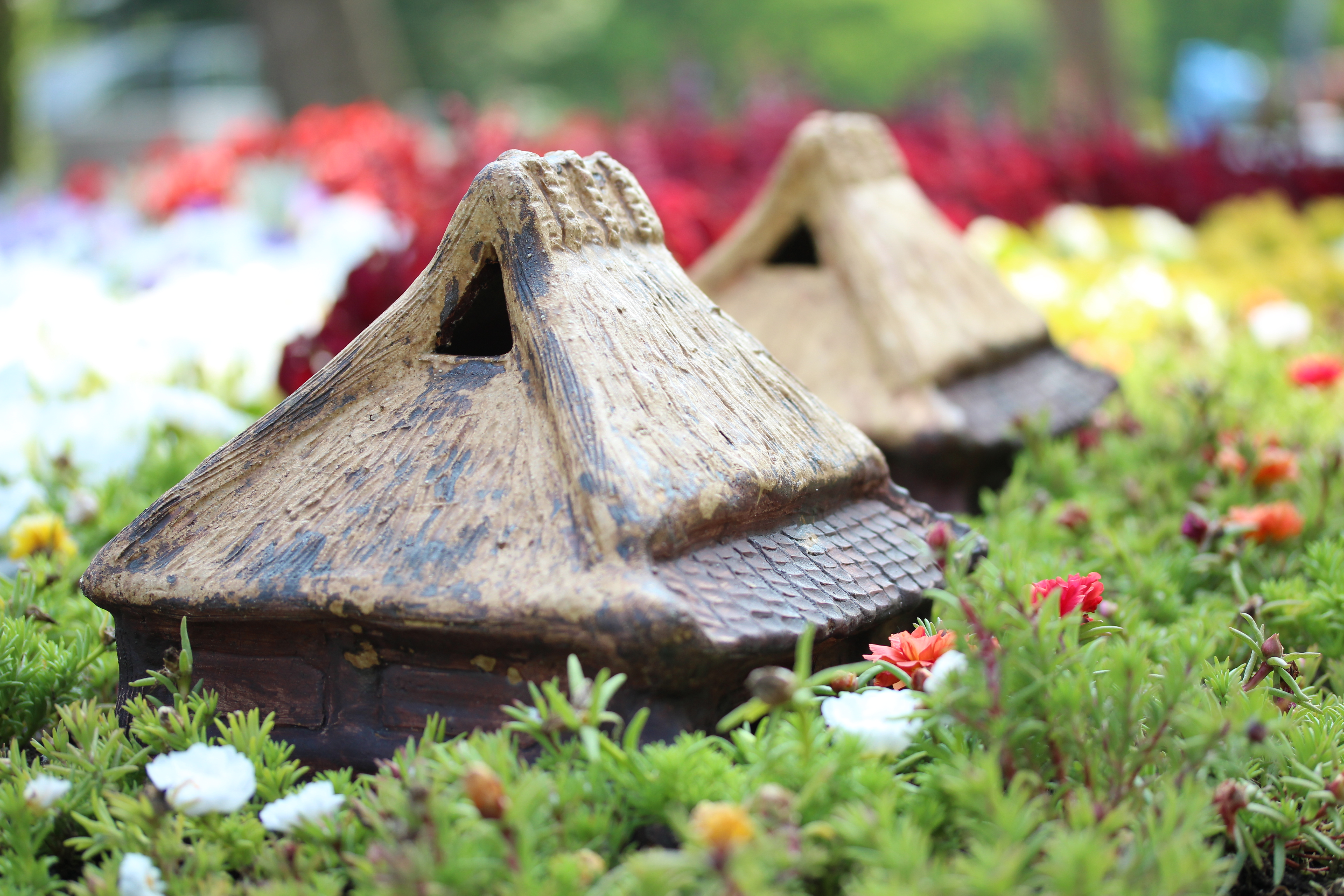 マクロレンズのAF駆動は決して速くはないはずなので、駆動スピードが速いレンズなら、もっと快適なんじゃないかと思う。EF-S 60mm F2.8 Macro USM / 絞り優先AE / 1/500秒 / F2.8 / 1EV / ISO200 / WB：太陽光 / 60mm