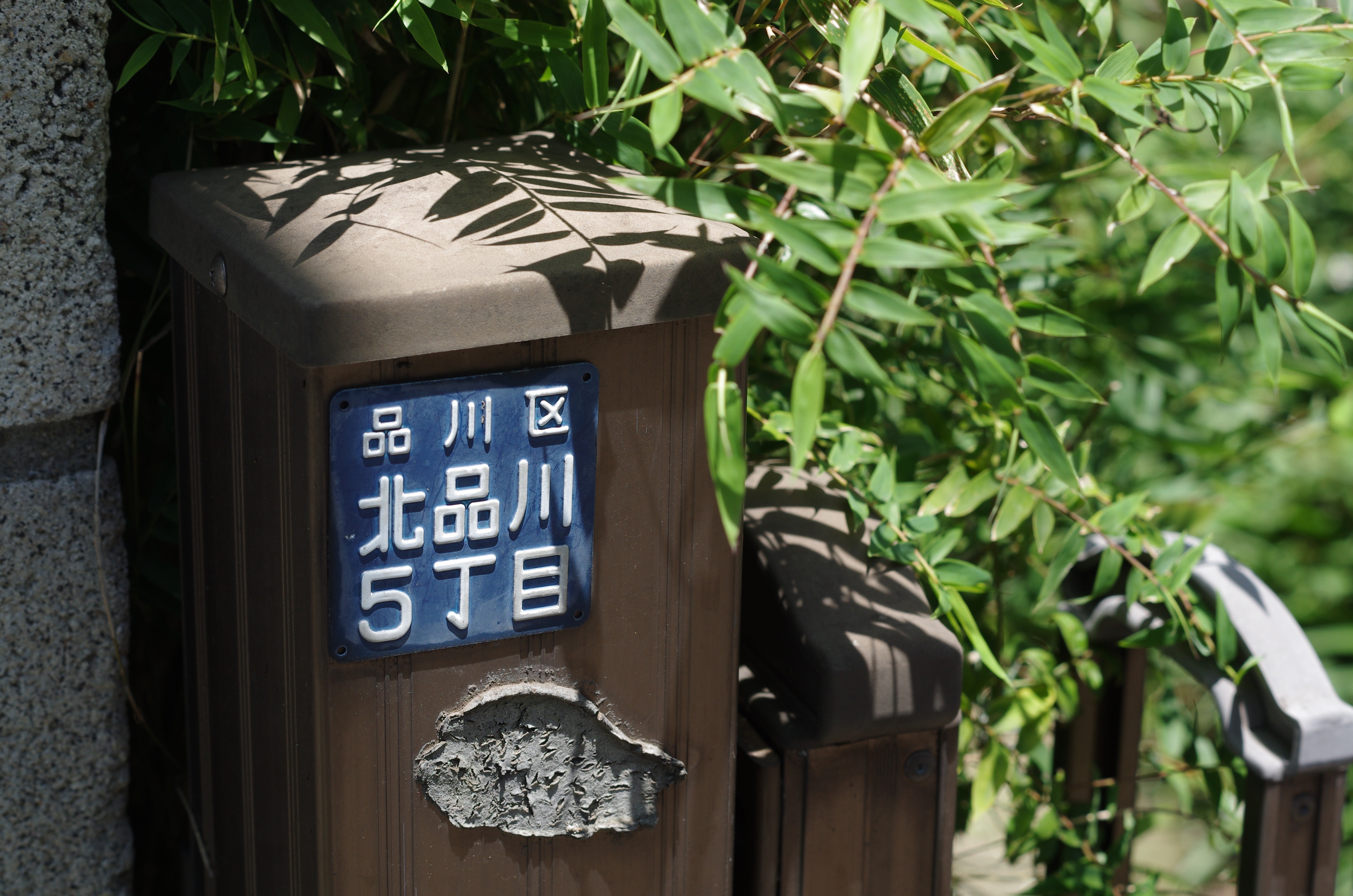 PENTAX K-5 IIs / 1/320秒 / F6.3 / -0.3EV / ISO200 / 絞り優先AE / WB：太陽光 / 50mm