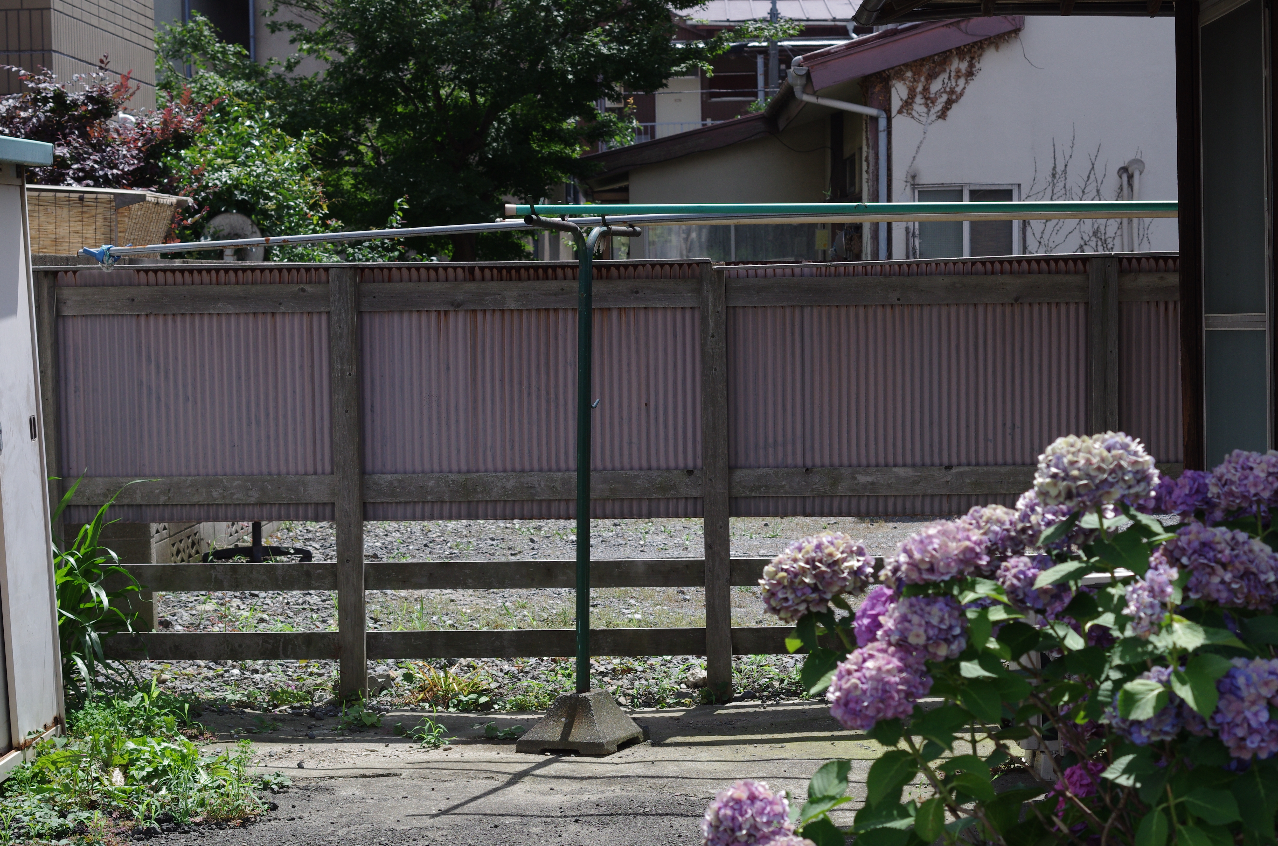 PENTAX K-5 IIs / 1/1250秒 / F5.6 / -0.3EV / ISO400 / 絞り優先AE / WB：オート / 50mm