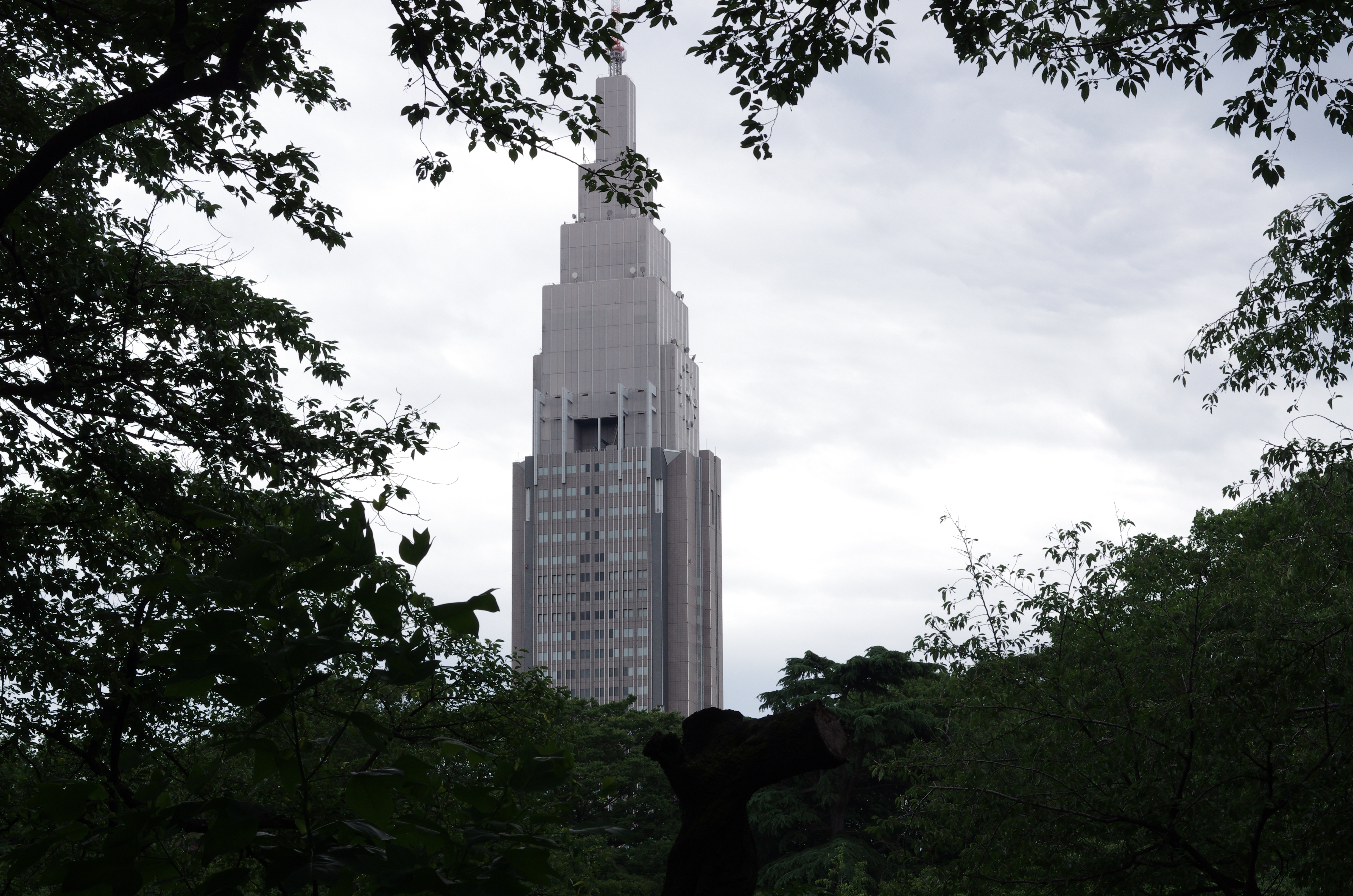 PENTAX K-5 IIs / 1/160秒 / F9 / +1.7EV / ISO400 / 絞り優先AE / WB：オート / 50mm