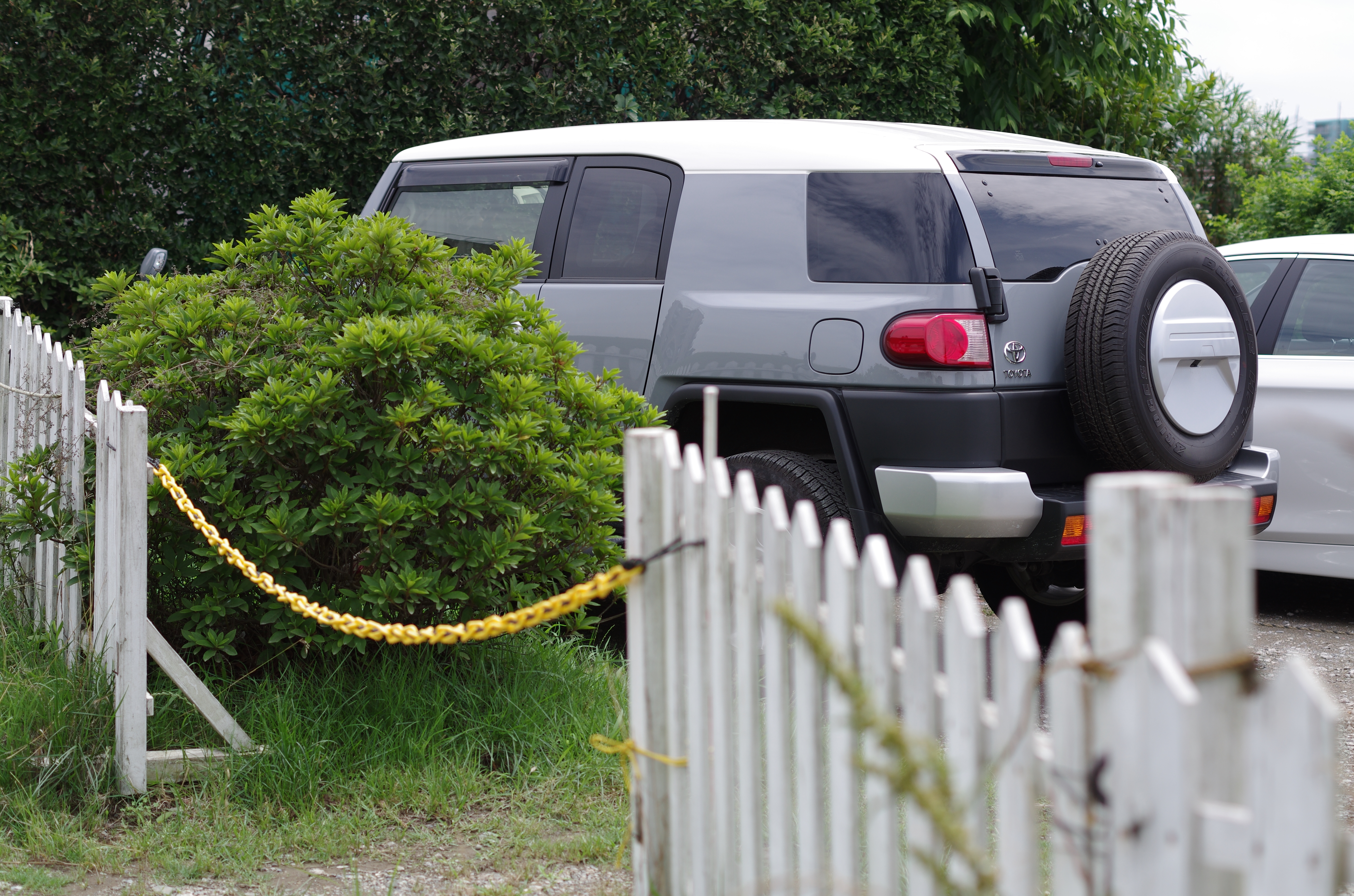 PENTAX K-5 IIs / 1/800秒 / F2.8 / +0.3EV / ISO100 / 絞り優先AE / WB：オート / 50mm