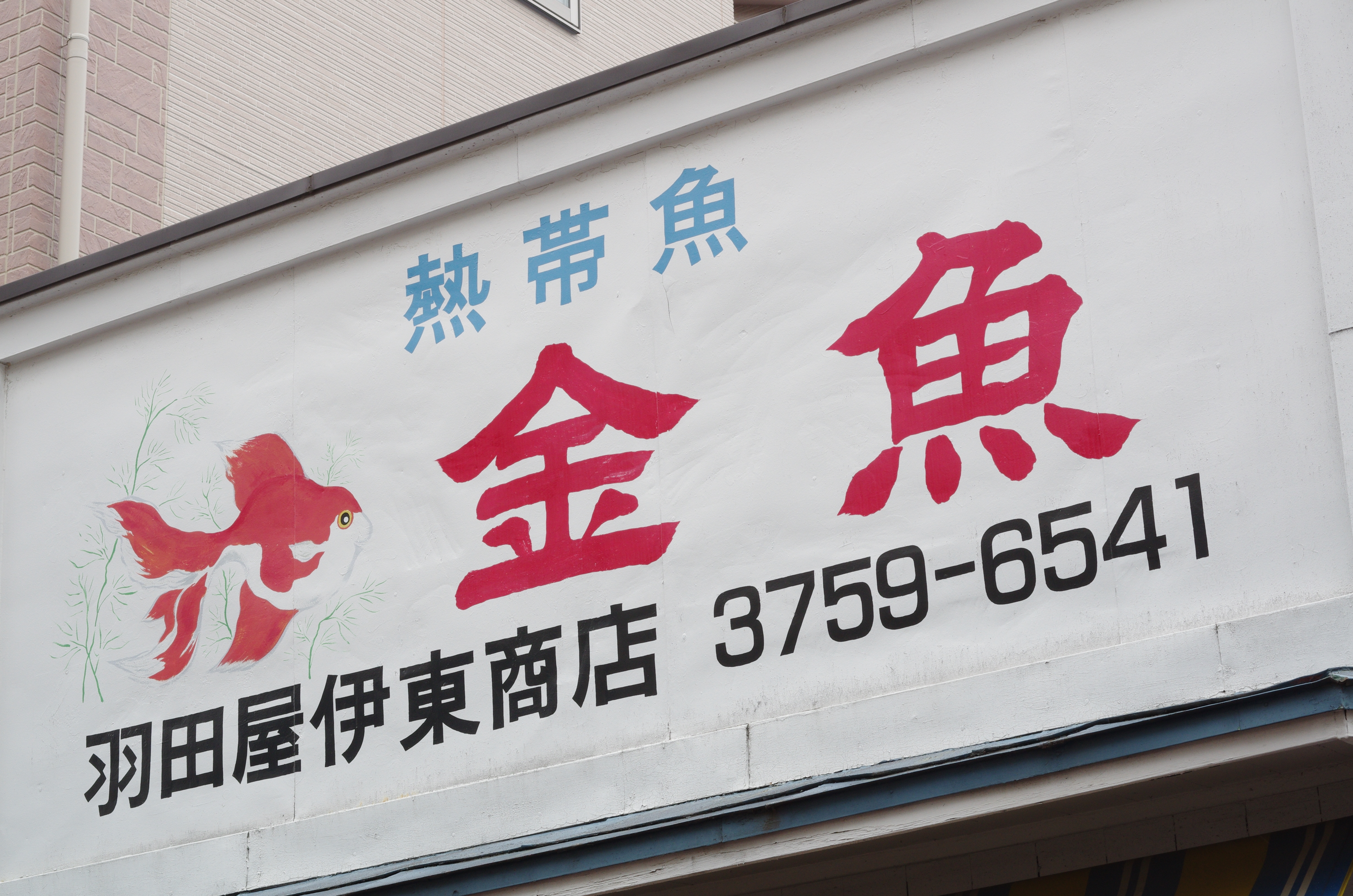 PENTAX K-5 IIs / 1/100秒 / F11 / +1.3EV / ISO500 / 絞り優先AE / WB：オート / 50mm