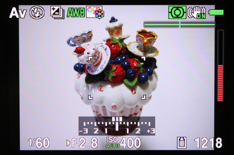 ライブビュー画像。右上の緑の十字と右端の赤いドットラインは水準器。