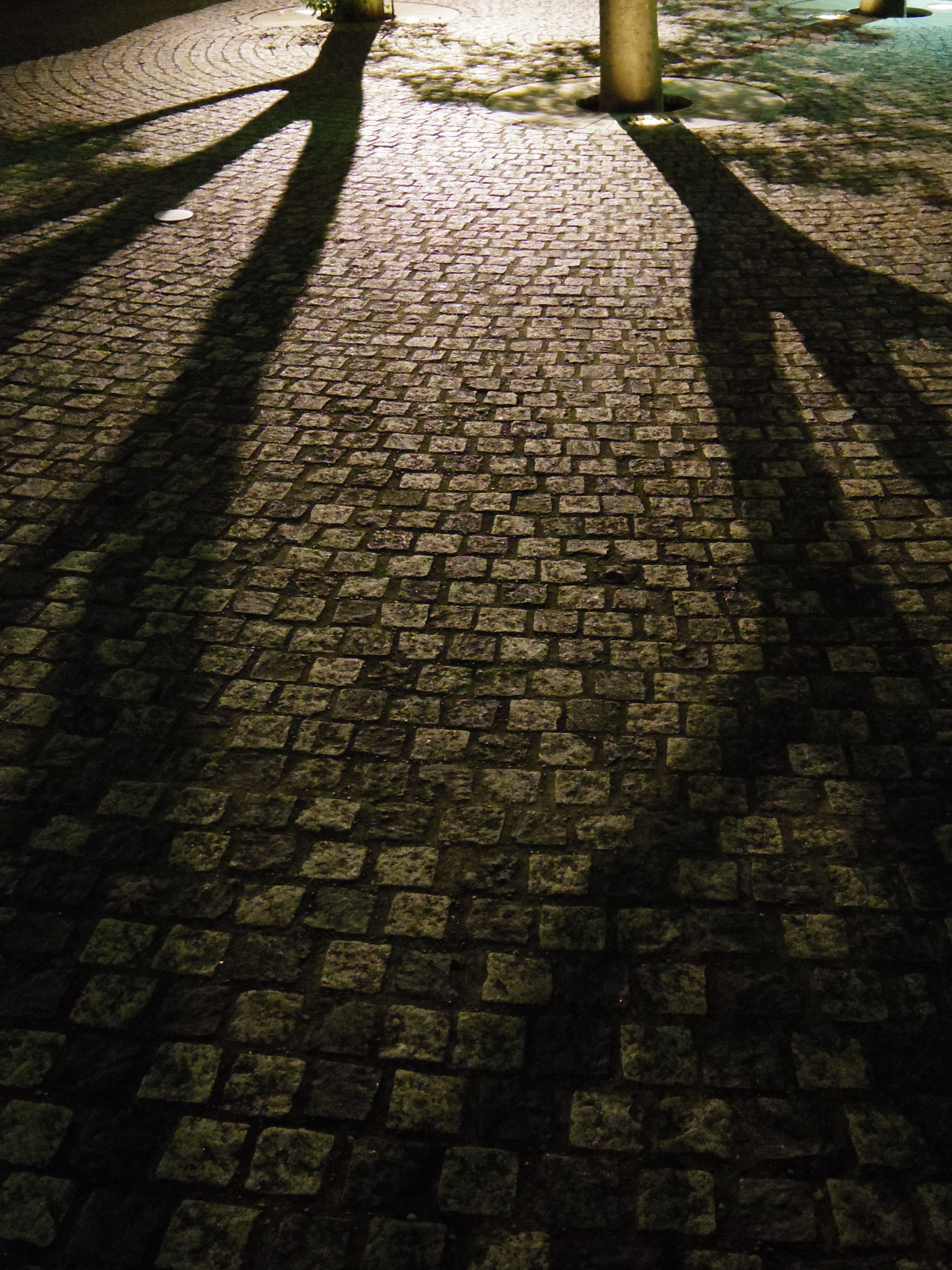 PENTAX Q7 / ISO3200 / F1.9 / 1/30秒 / 01 STANDARD PRIME / 8.5mm（39mm相当）