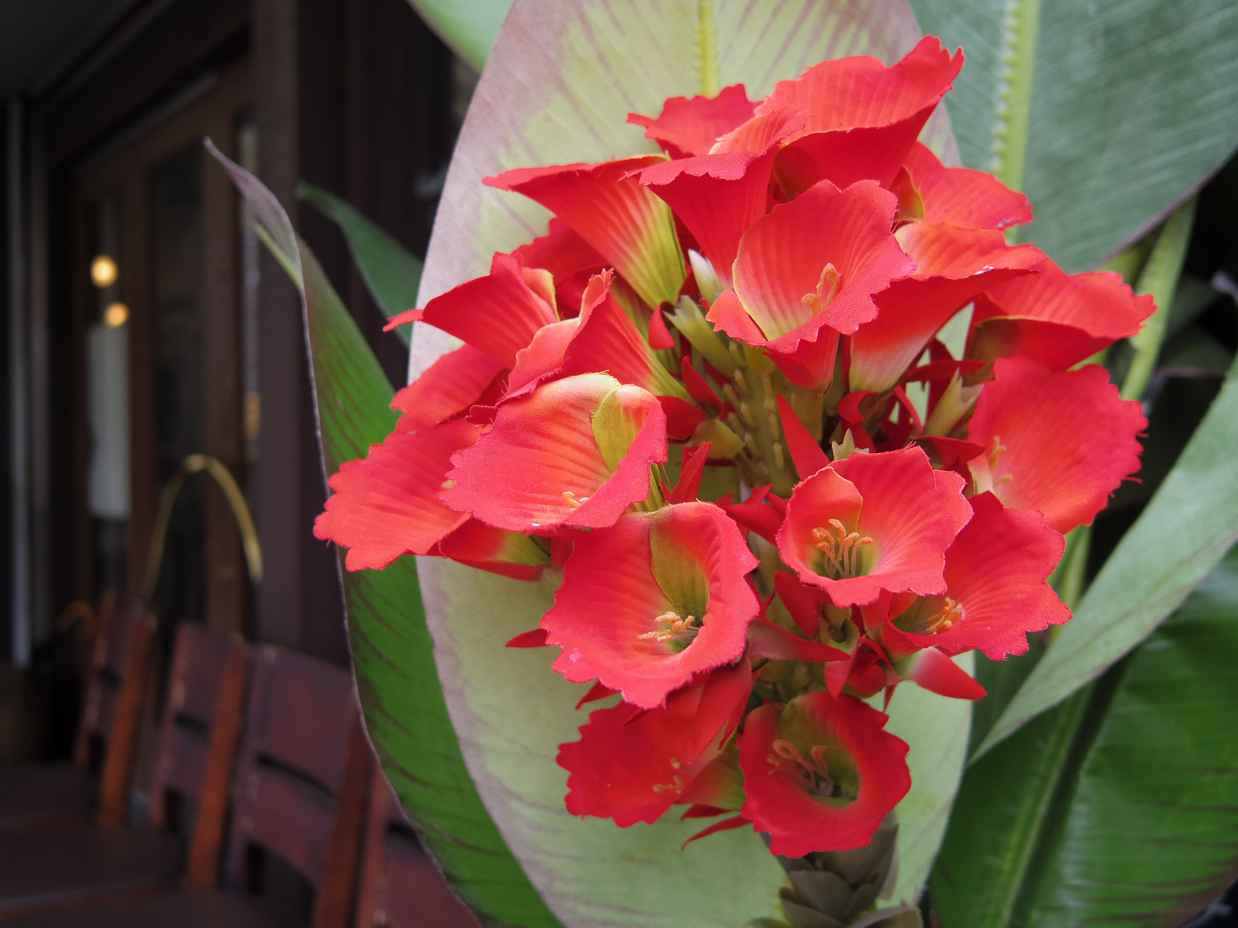 PENTAX Q7 / ISO100 / F1.9 / 1/640秒 / 01 STANDARD PRIME / 8.5mm（39mm相当）