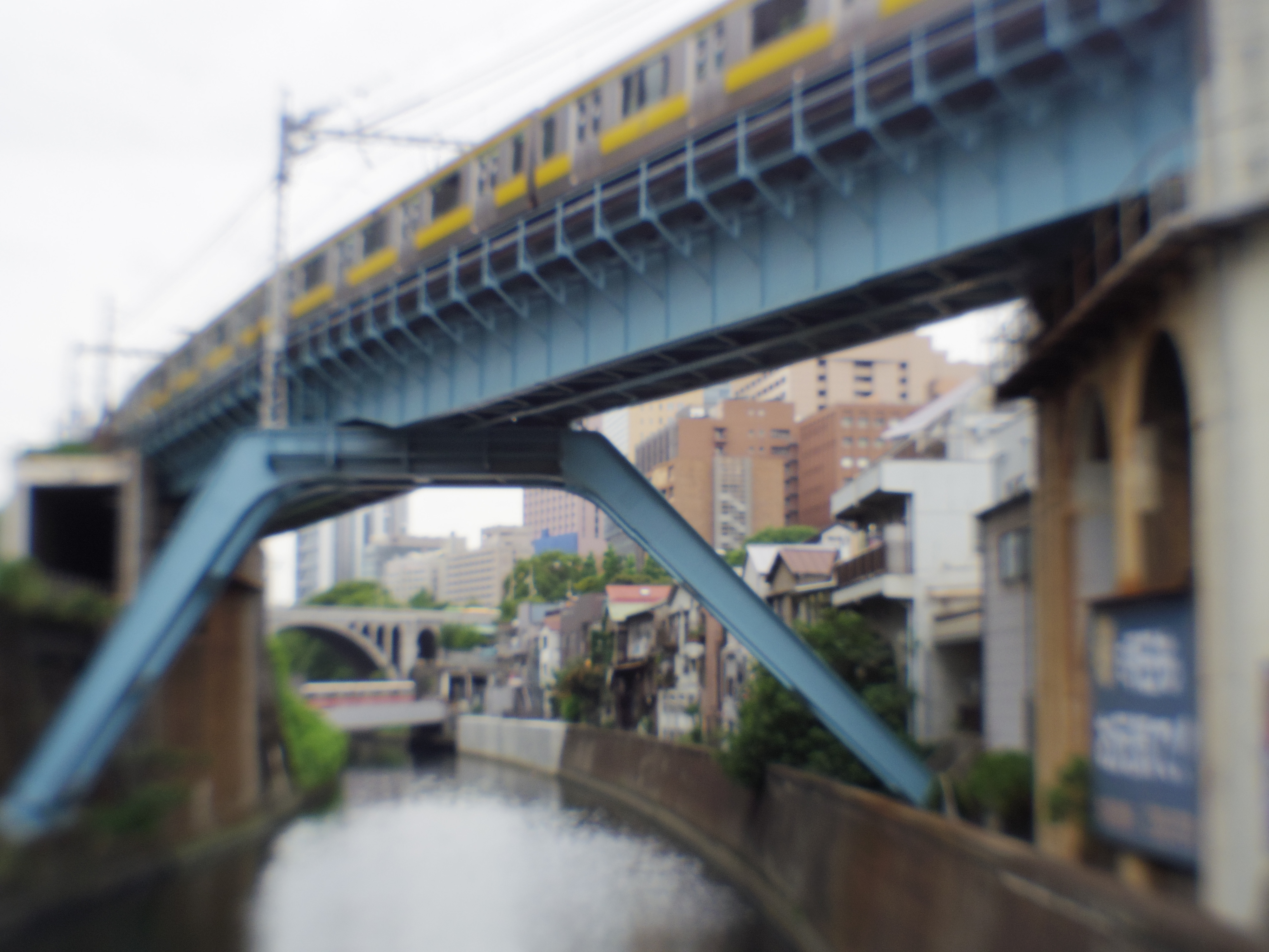 PENTAX Q7 / ISO200 / F9 / 1/100秒 / 07 MOUNT SHIELD LENS / 11.5mm（53mm相当）