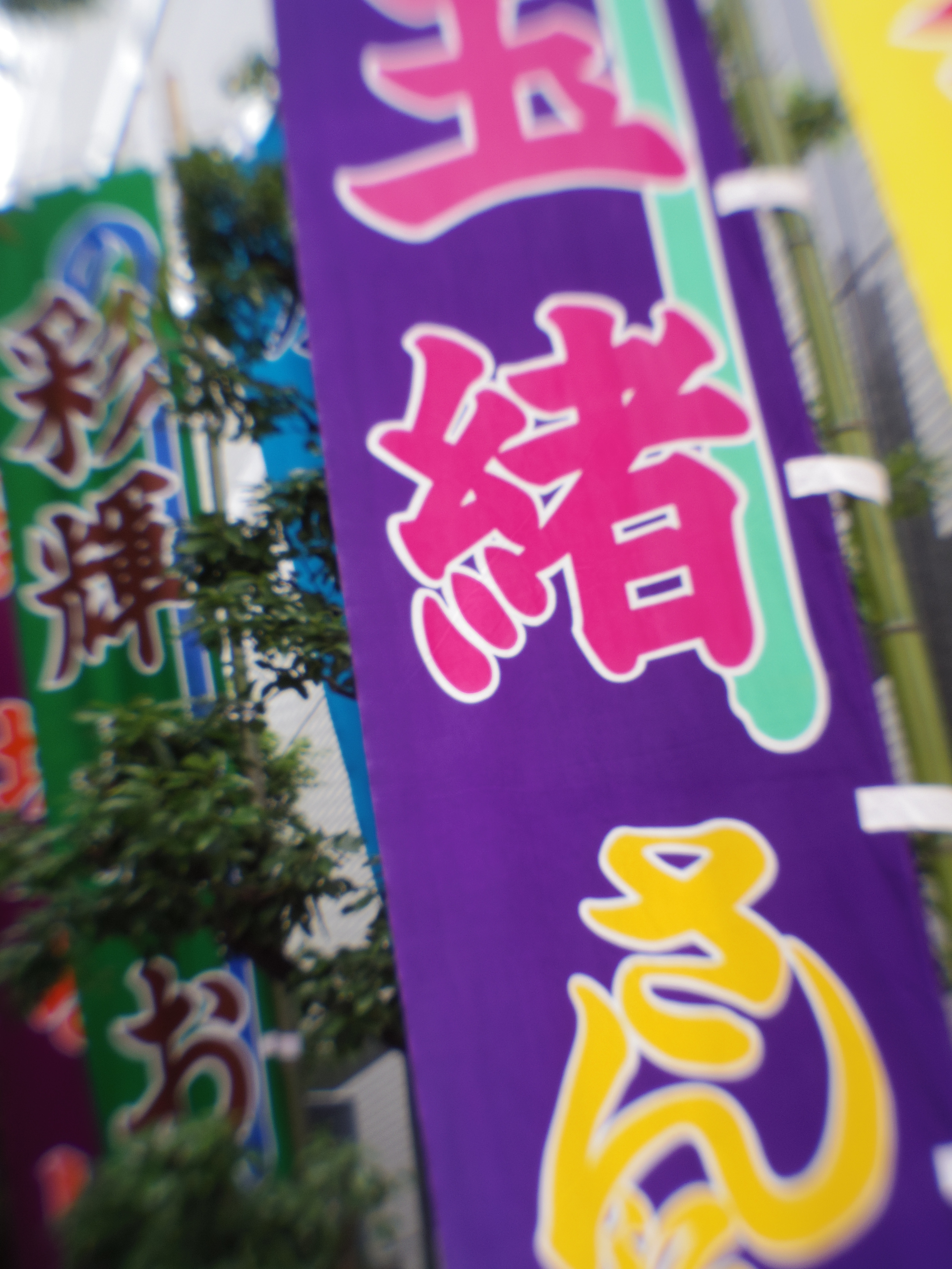 PENTAX Q7 / ISO100 / F9 / 1/40秒 / 07 MOUNT SHIELD LENS / 11.5mm（53mm相当）