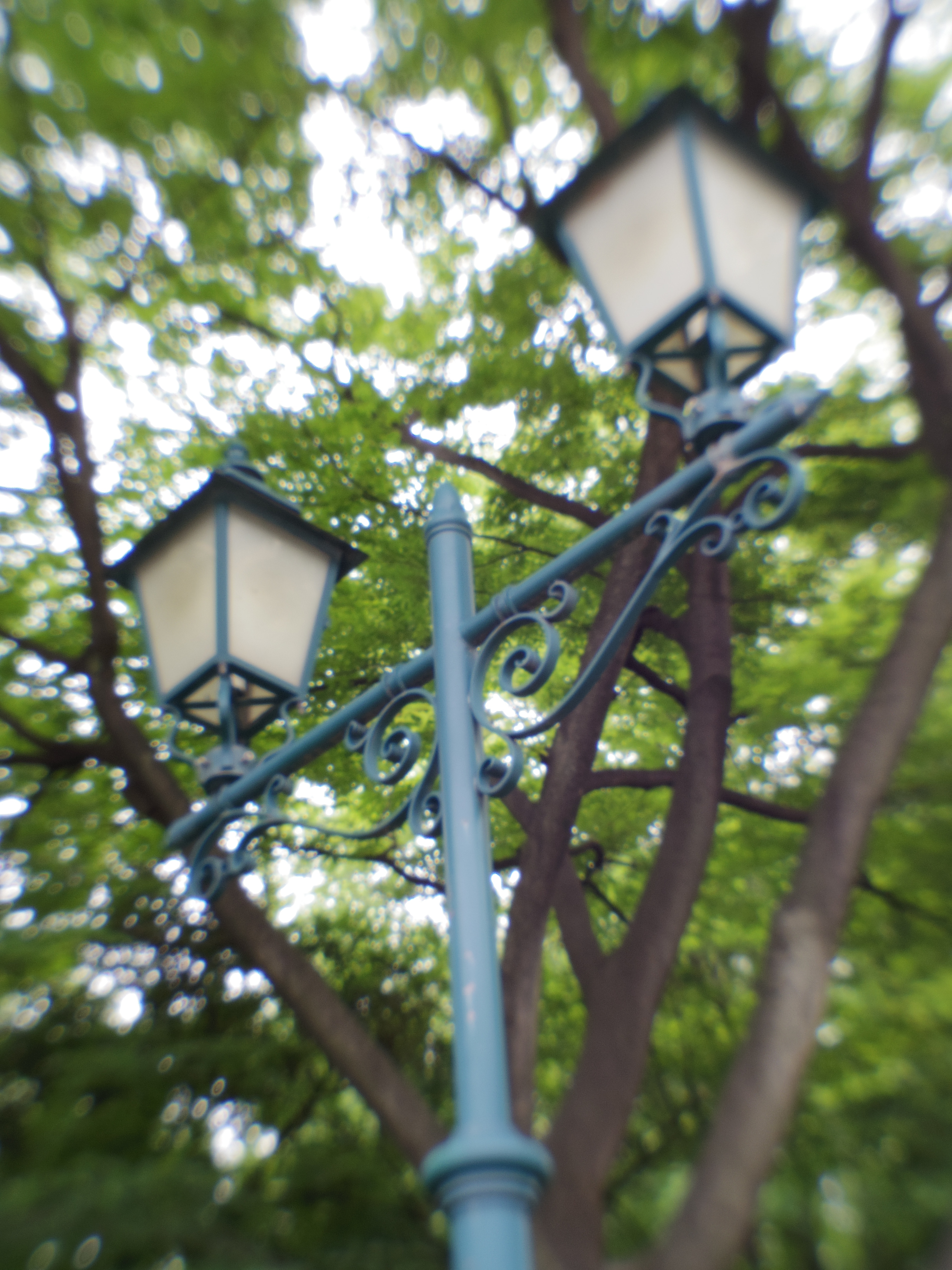 PENTAX Q7 / ISO100 / F9 / 1/20秒 / 07 MOUNT SHIELD LENS / 11.5mm（53mm相当）