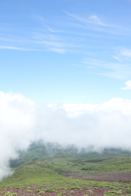 6合目まで降りると緑が広がります