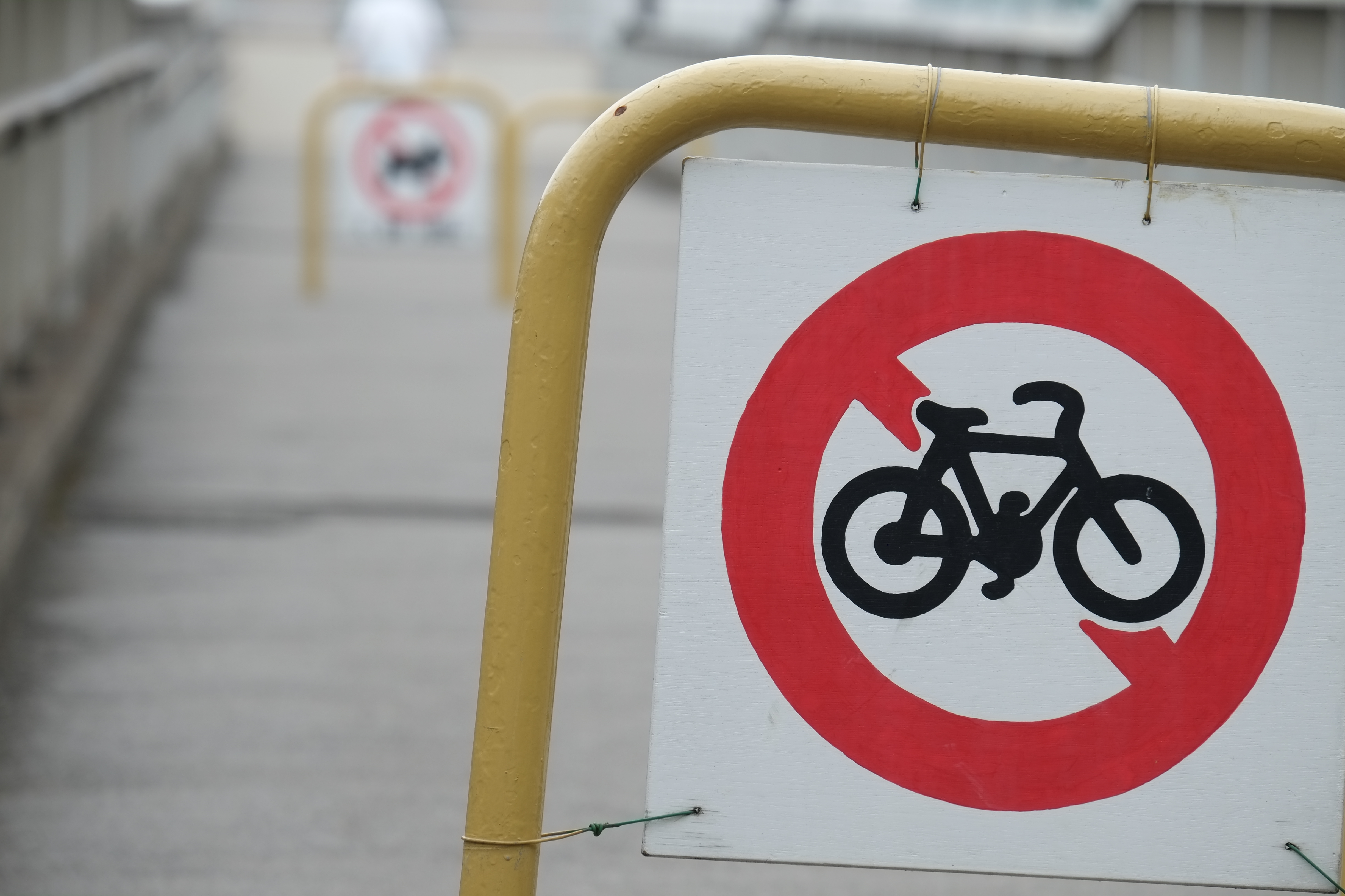 X-Pro1 / 1/180秒 / F8 / +0.7EV / ISO200 / 絞り優先AE / WB：オート / 200mm