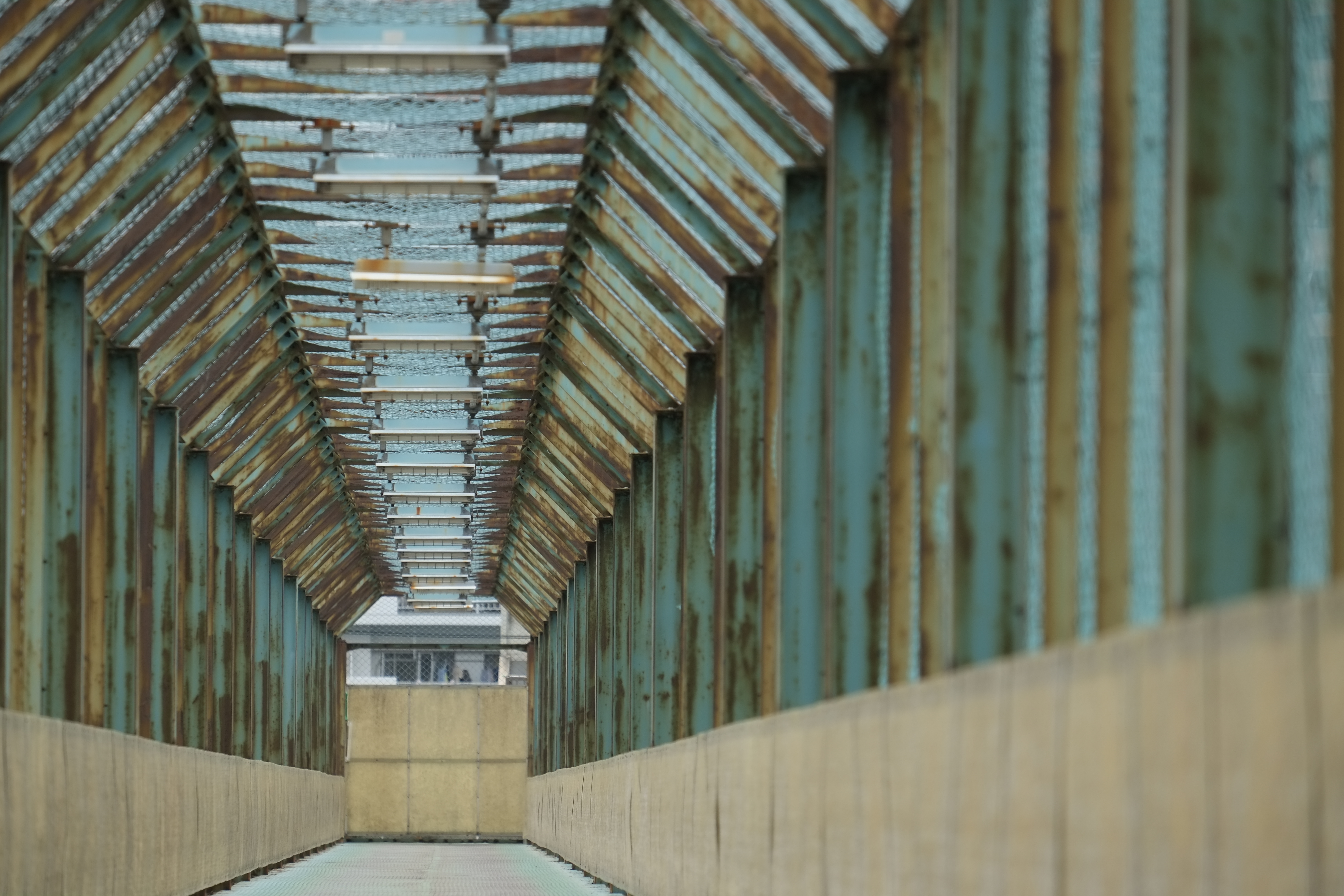 X-Pro1 / 1/280秒 / F5.6 / 0EV / ISO200 / 絞り優先AE / WB：オート / 200mm