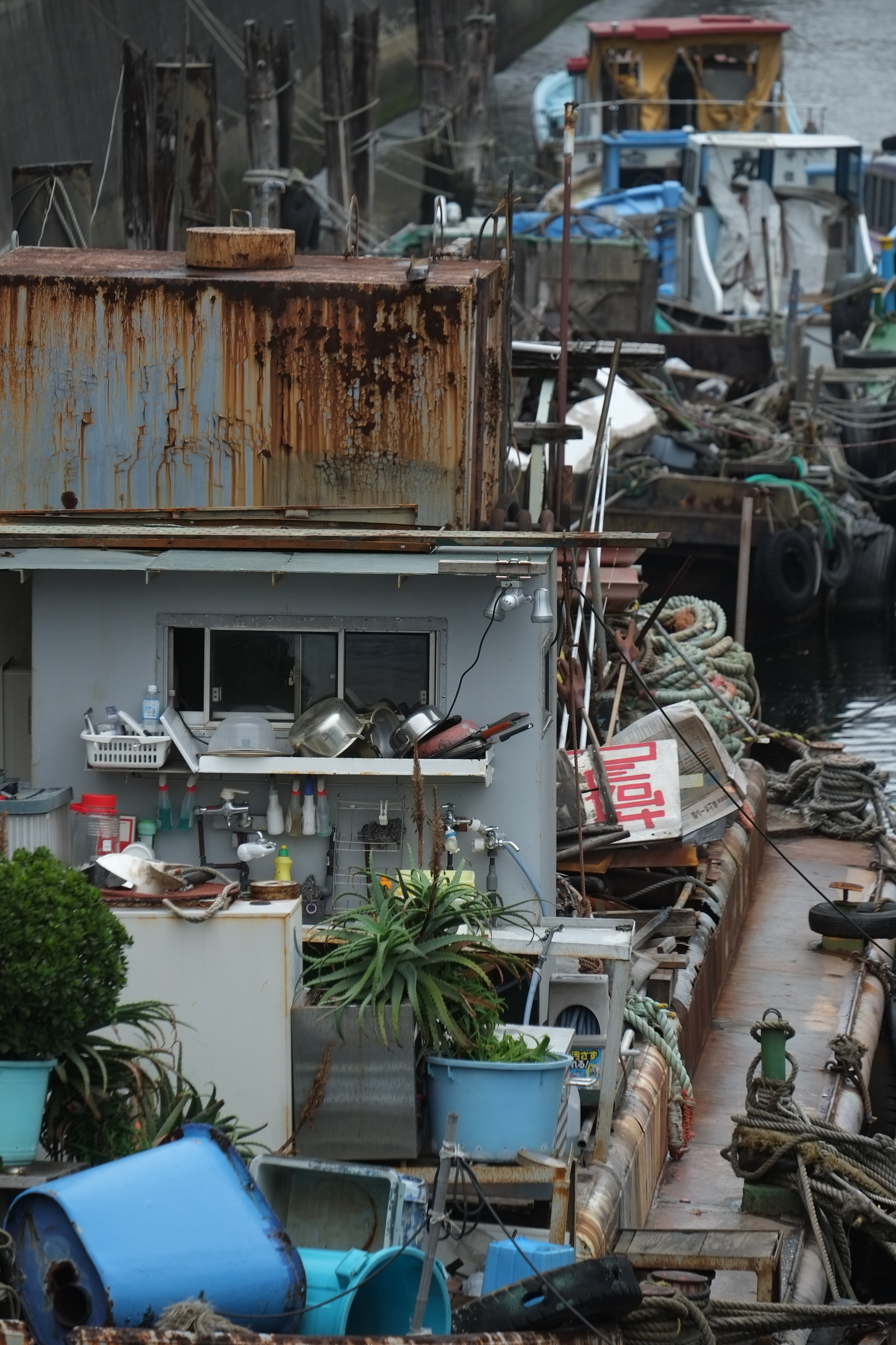 X-Pro1 / 1/125秒 / F5.6 / -0.7EV / ISO200 / 絞り優先AE / WB：オート / 172.4mm