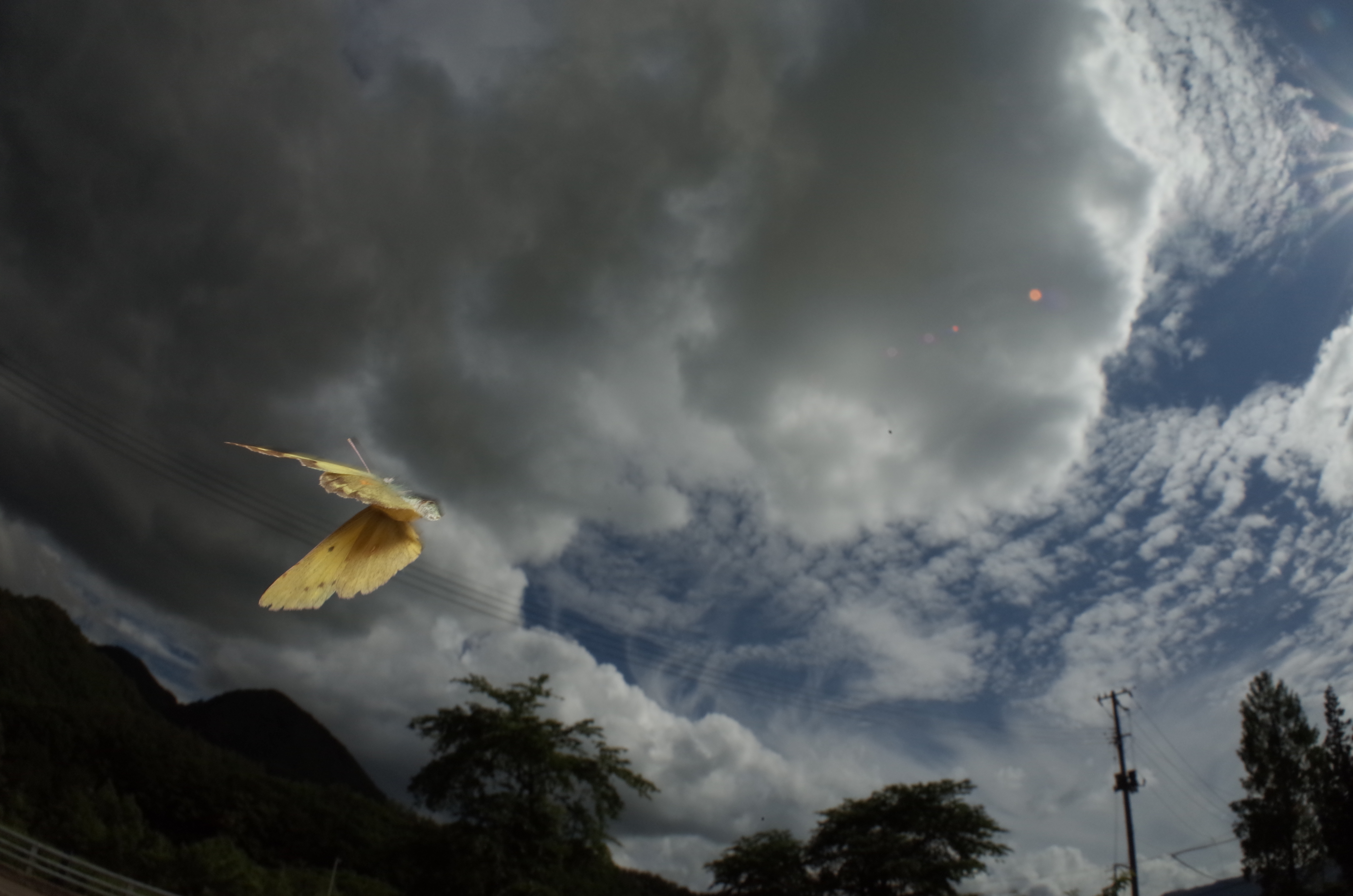 1/800秒 / F16 / 0EV / ISO200 / マニュアル / WB：オート