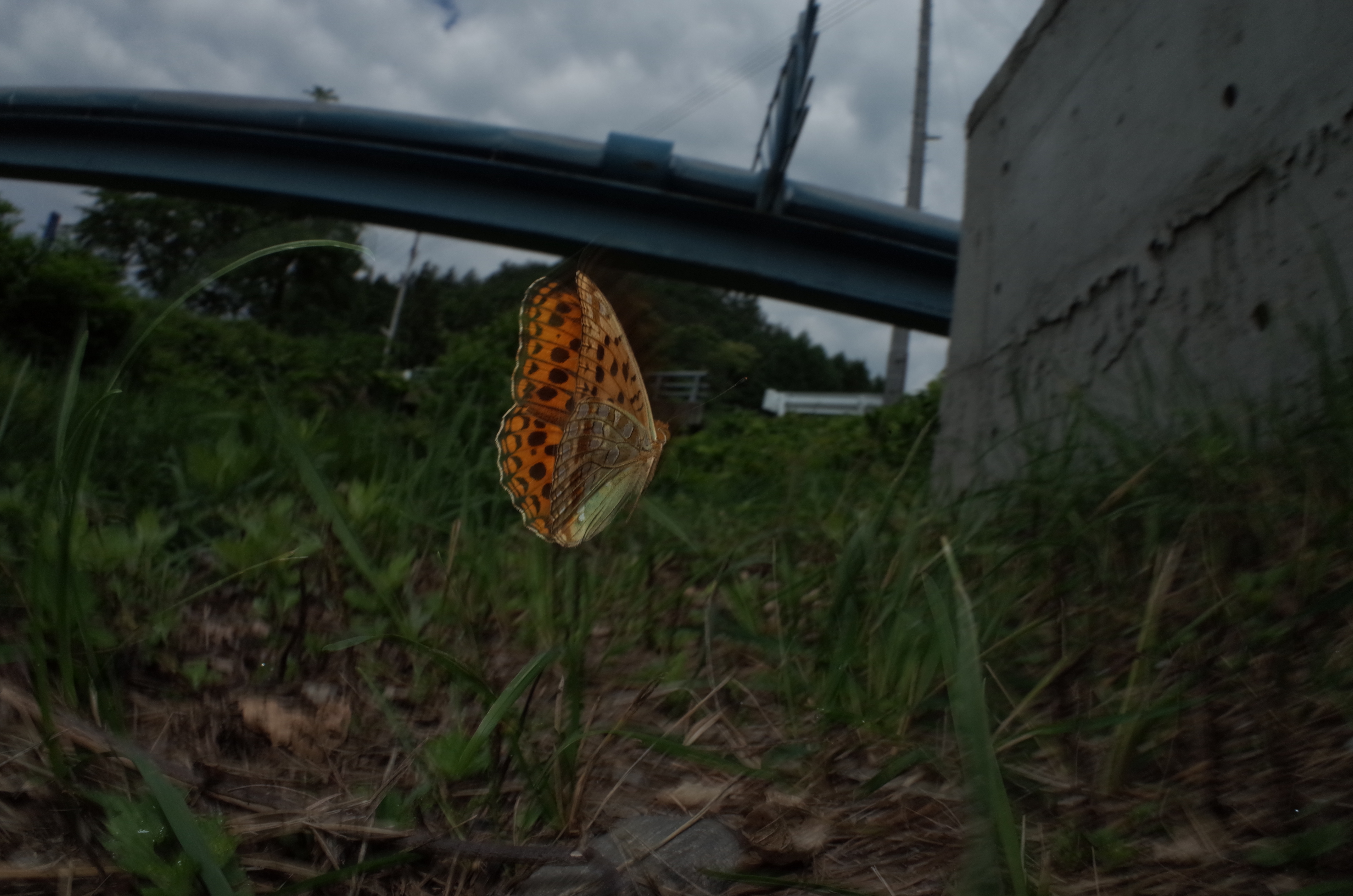 1/320秒 / F16 / 0EV / ISO200 / マニュアル / WB：晴天