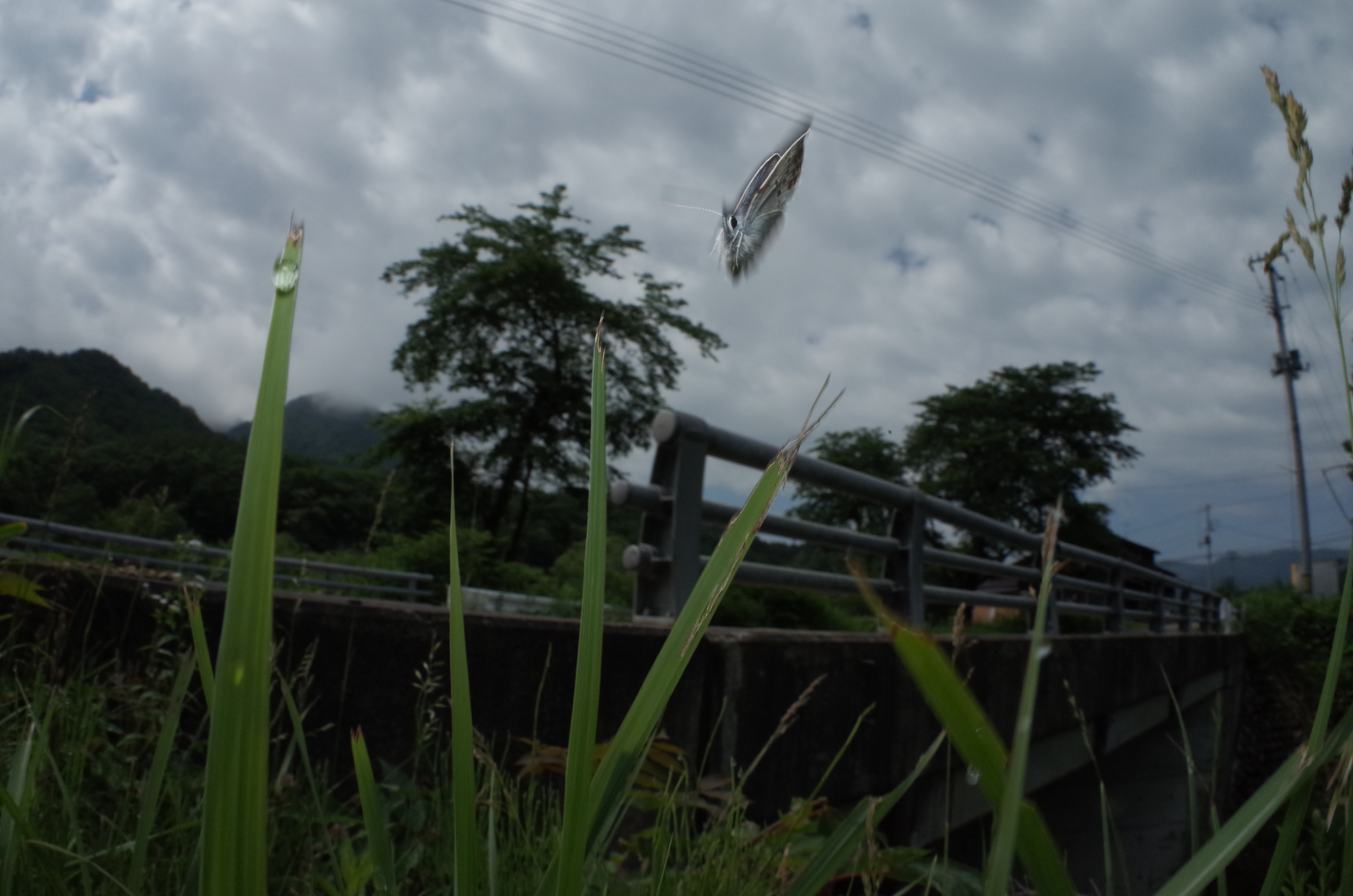 1/640秒 / F16 / 0EV / ISO400 / マニュアル / WB：晴天