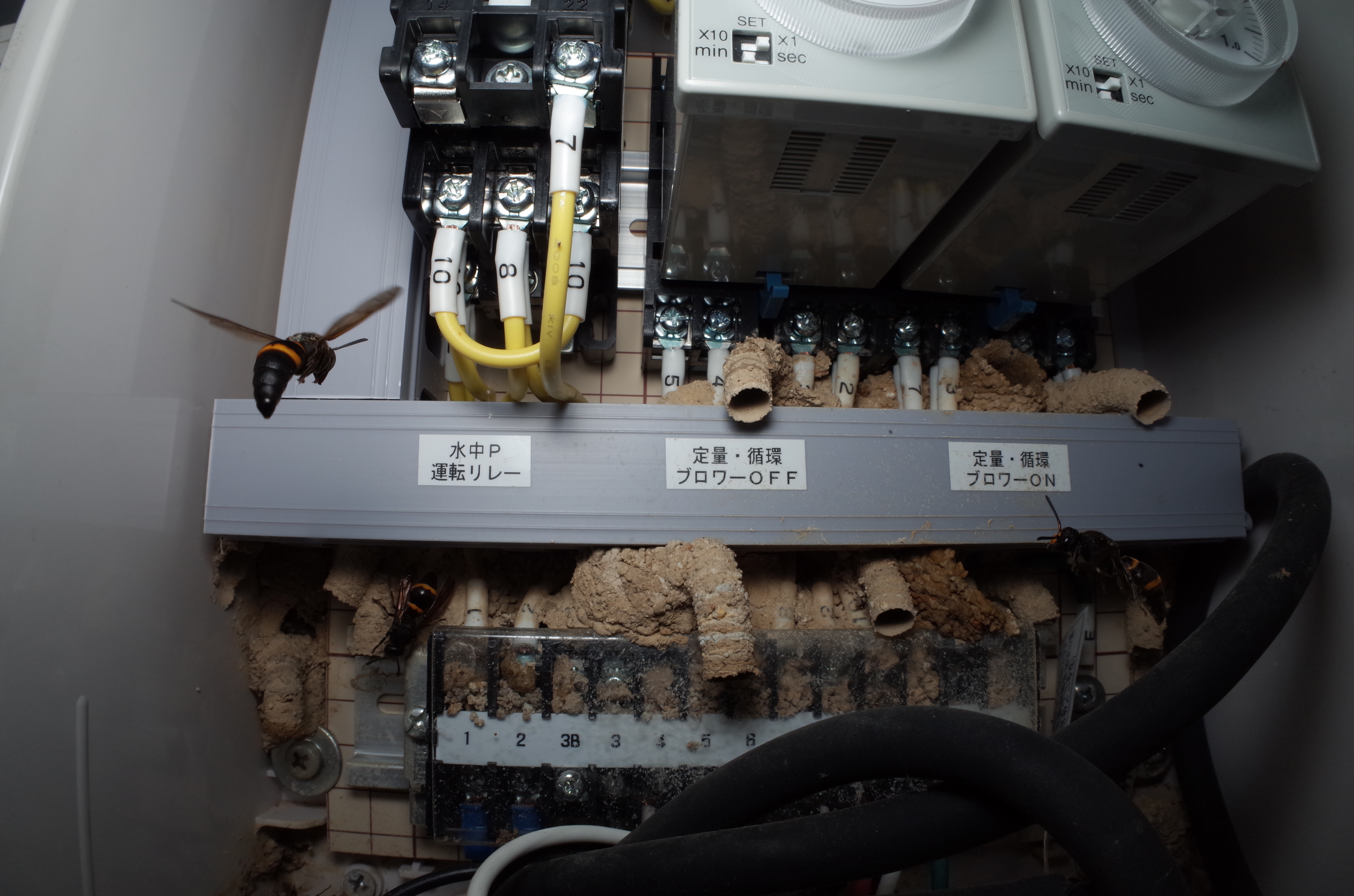 1/800秒 / F16 / 0EV / ISO200 / マニュアル / WB：晴天