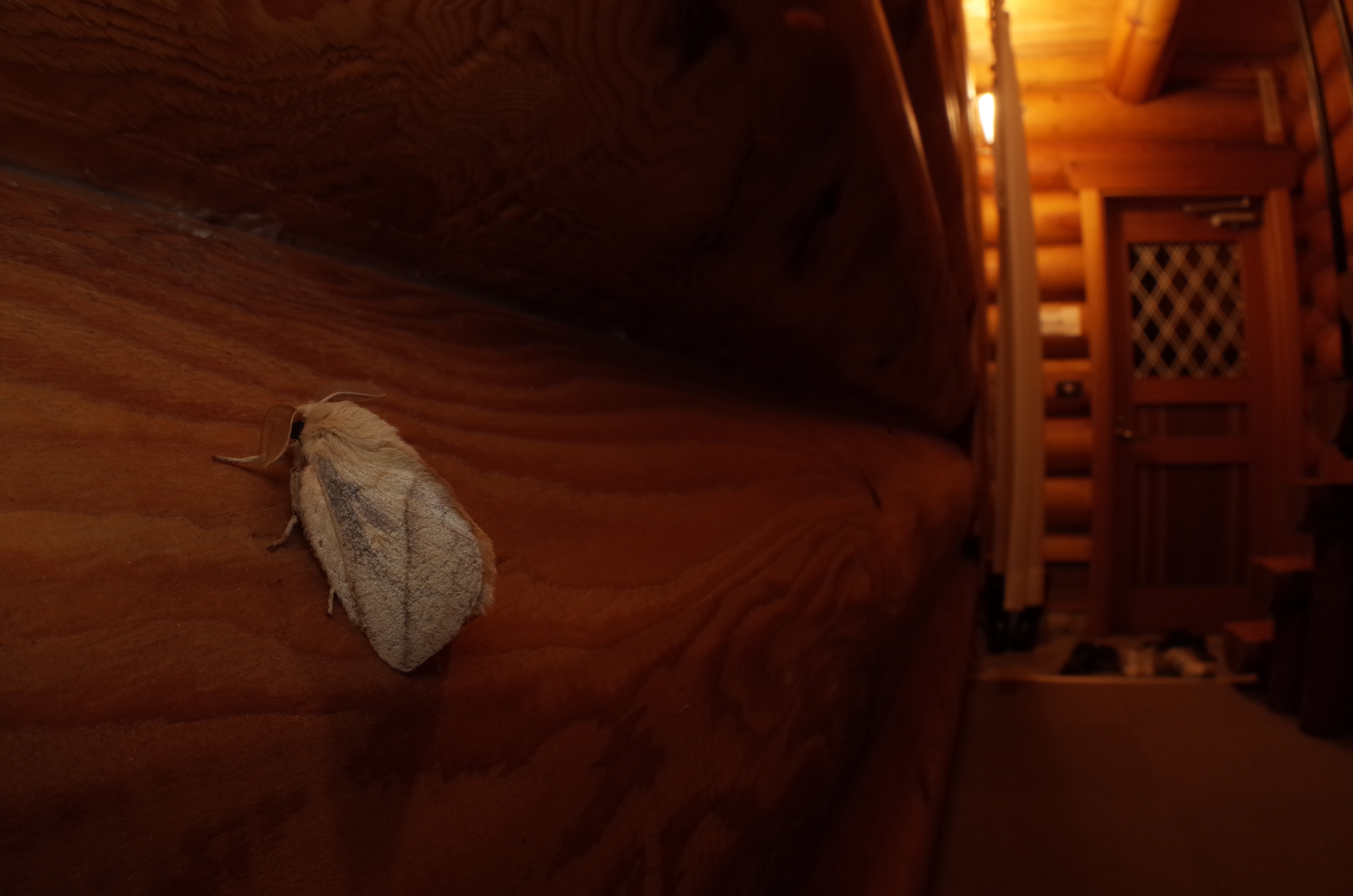 8秒 / F16 / 0EV / ISO200 / マニュアル / WB：晴天