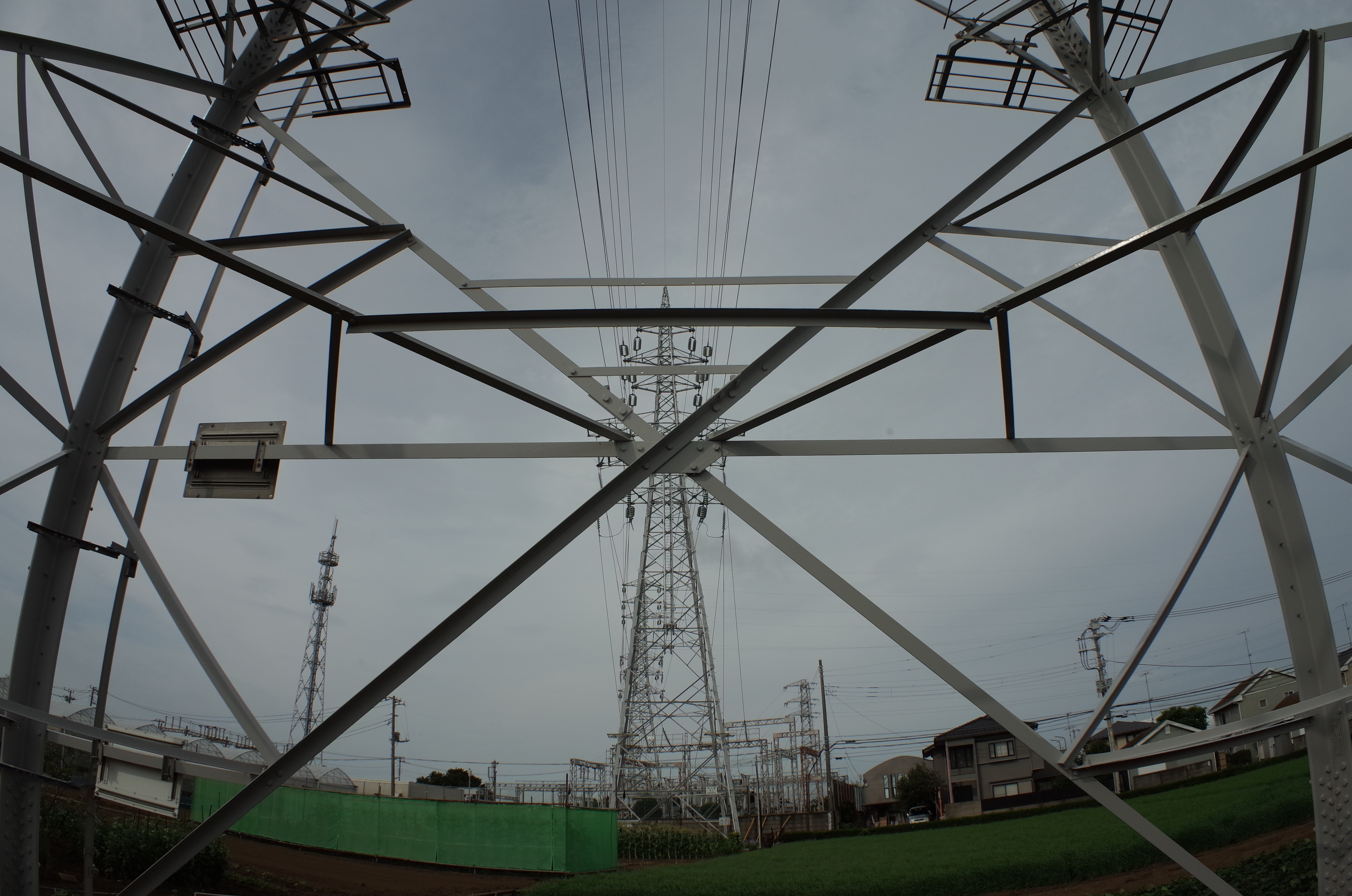 1/640秒 / F8 / 0EV / ISO100 / 絞り優先AE / WB：オート