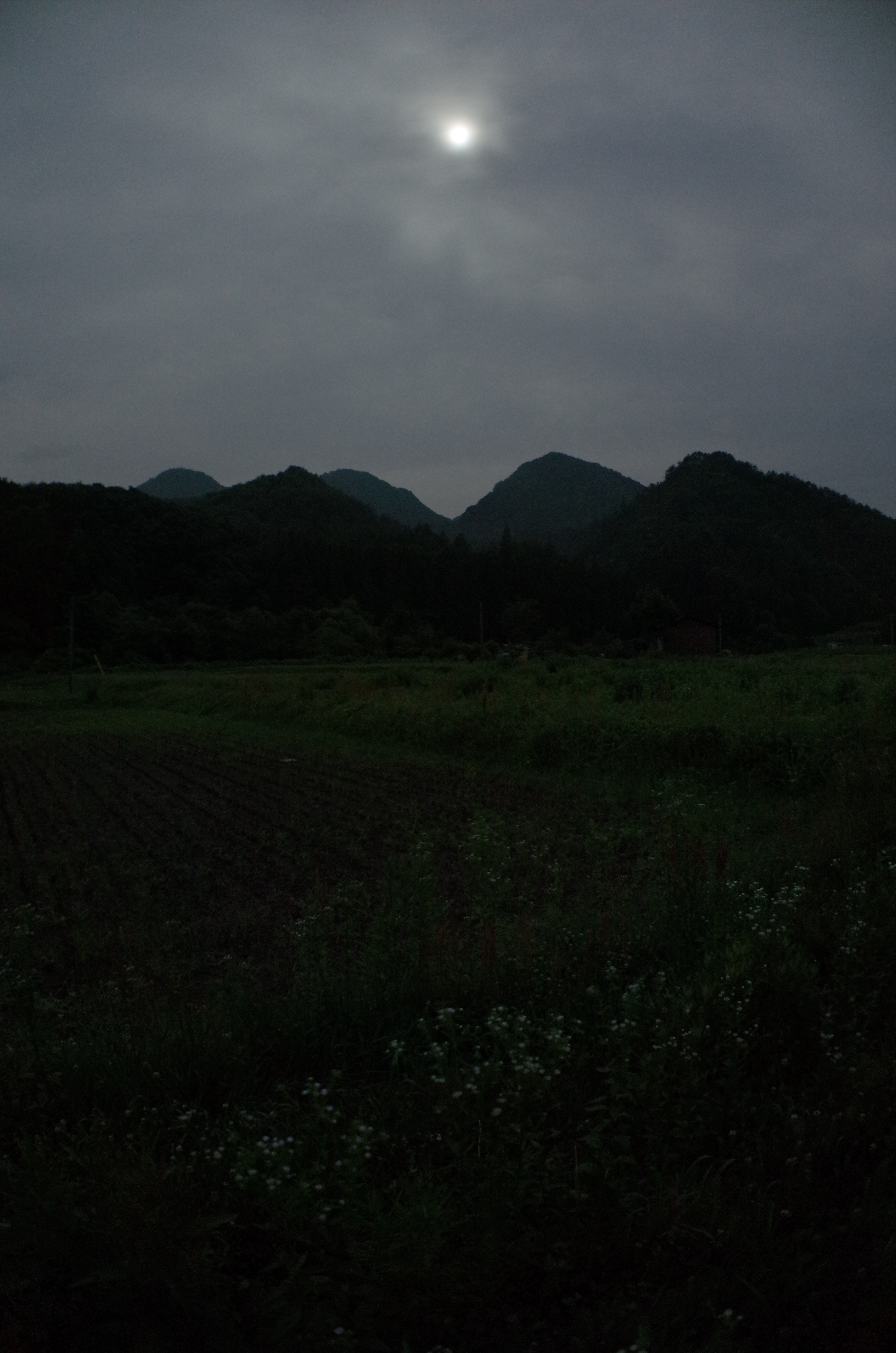 8秒 / F2.8 / 0EV / ISO800 / マニュアル / WB：オート