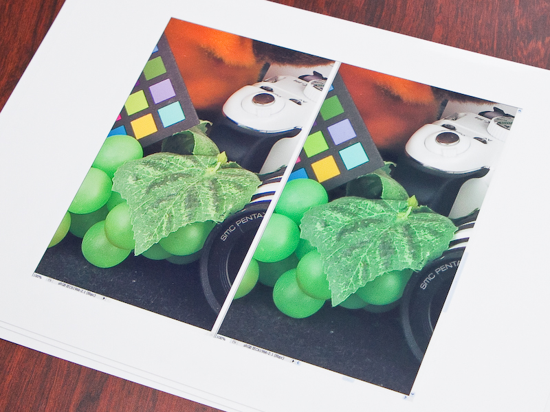 Q7（左）とQ10（右）のプリントサンプル。写真ではわかりにくいが、Q7のほうが葉の表面のディテールがよく再現されている。