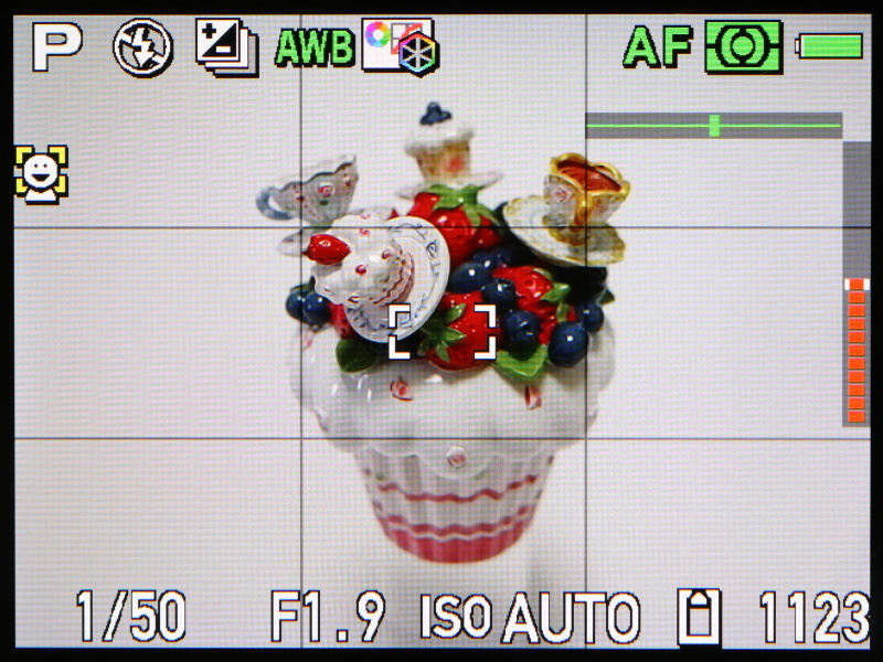 撮影時のモニター表示。水準器を備えるが、レスポンスがよすぎて、少々使いづらい。
