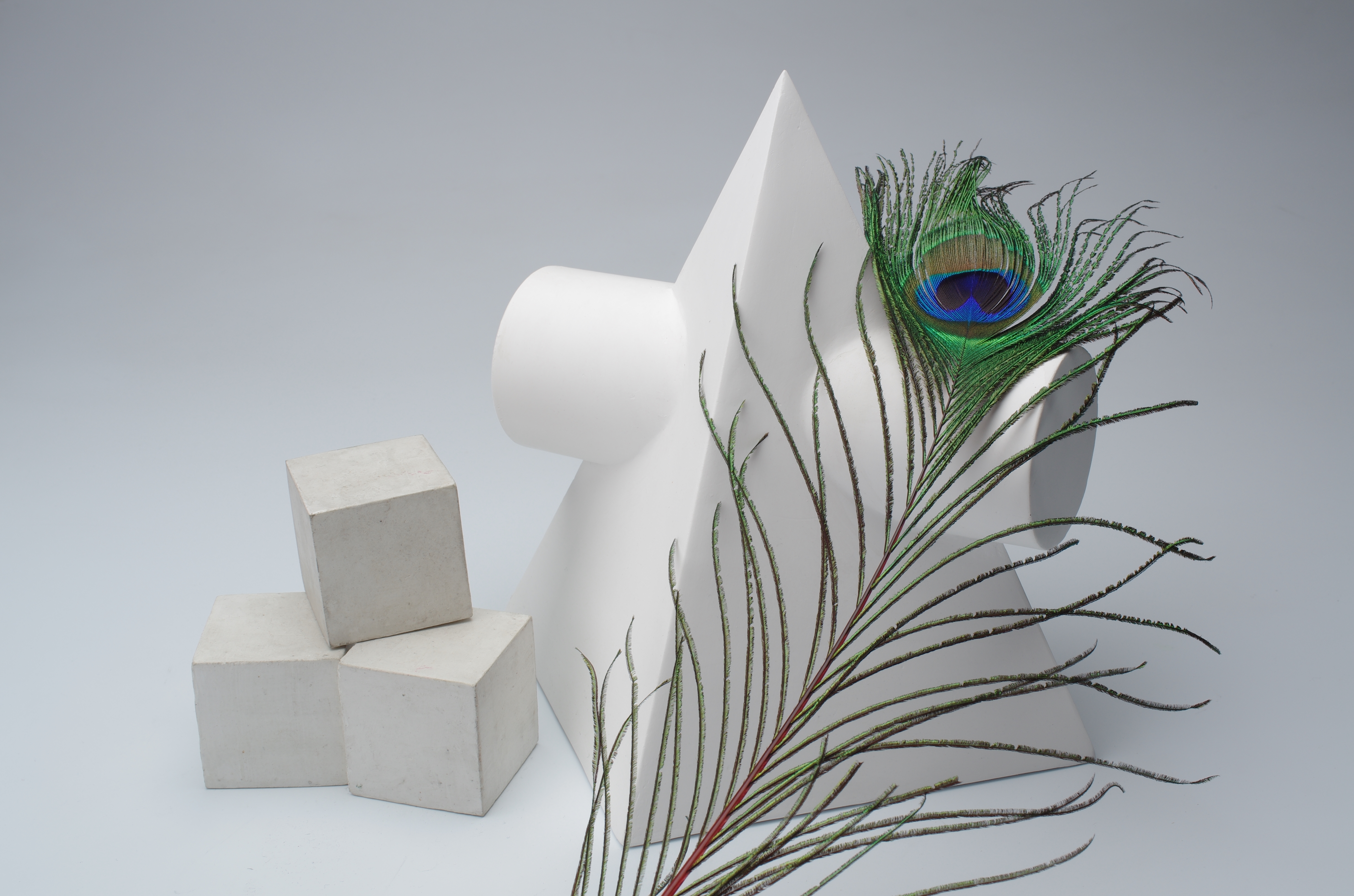 K-5 IIsで撮影。DA 35mm F2.8 Macro Limited / 1/100秒 / F11 / +0.3EV / ISO100 / マニュアル / WB：マニュアル / 35mm