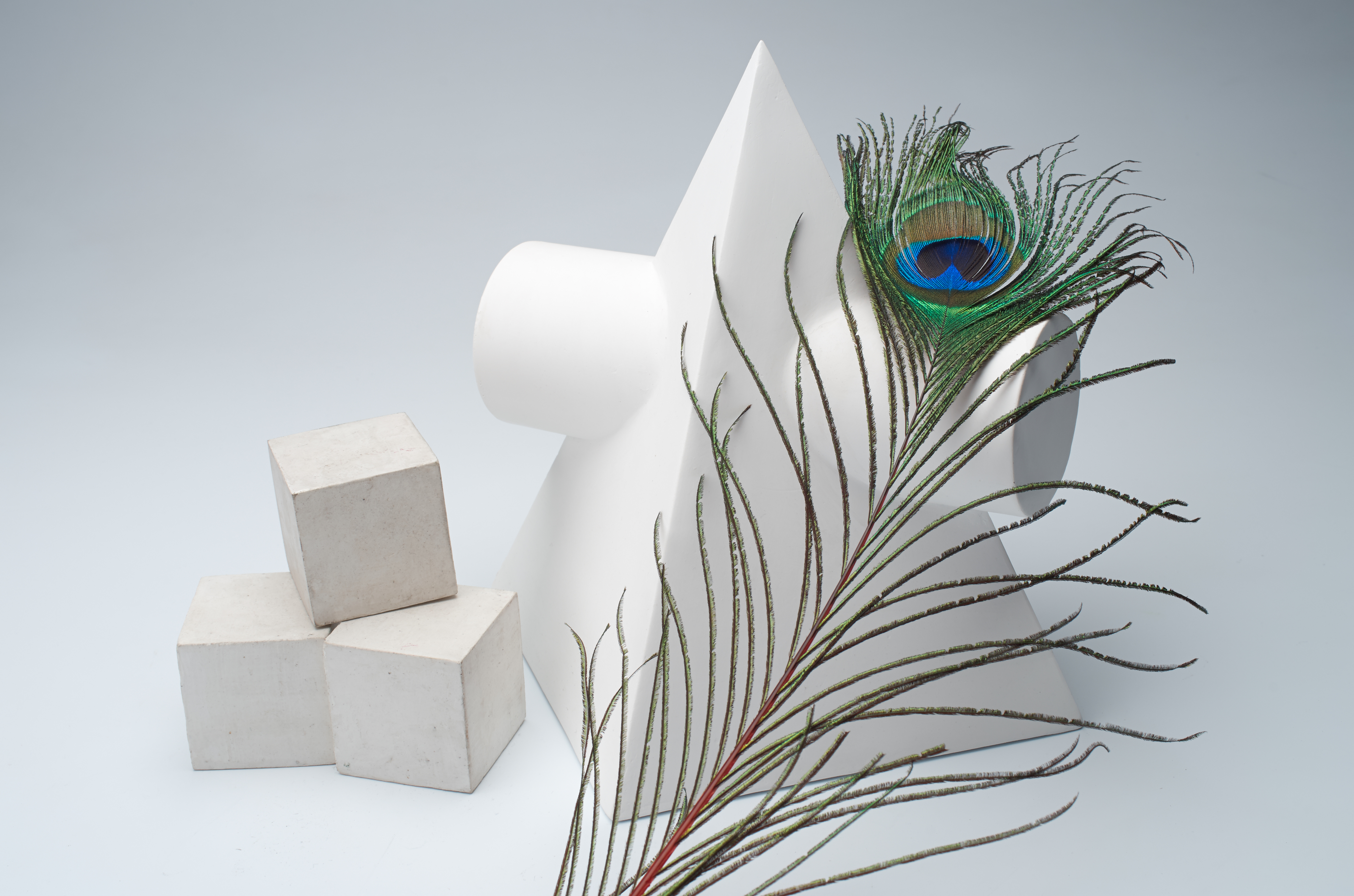 K-30でDNG撮影。DA 35mm F2.8 Macro Limited / 1/100秒 / F11 / +0.7EV / ISO100 / マニュアル / WB：マニュアル / 35mm