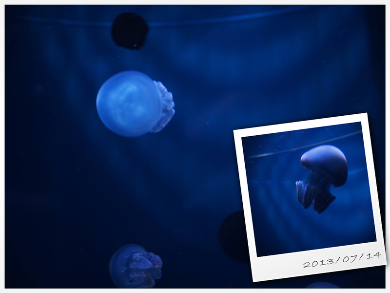 <strong class="">金森玲奈先生の作品（1）</strong><br class="">複数のイメージを一枚に納めることができるフォトストーリーを使った作品。日付を入れることで思い出が深まります。（E-P5 / M.ZUIKO DIGITAL 17mm F1.8）