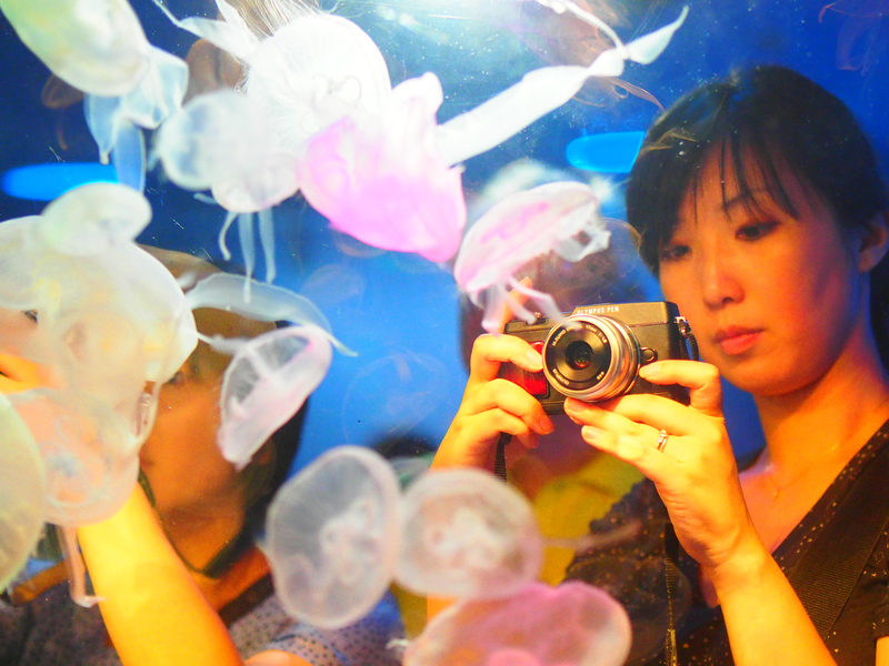 クラゲ水槽は一番人気がありました。クラゲはコントラストが低く、ピントが合わせづらい被写体です。金森先生にピント合わせについて質問をしたら、「自分が移動してコントラストがはっきりしている背景を選ぶと、ピントが合いやすくなりますよ」と教えていただきました。