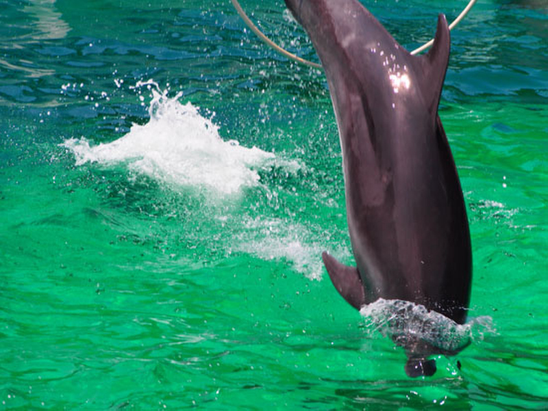 撮影者：BOOCHANさん