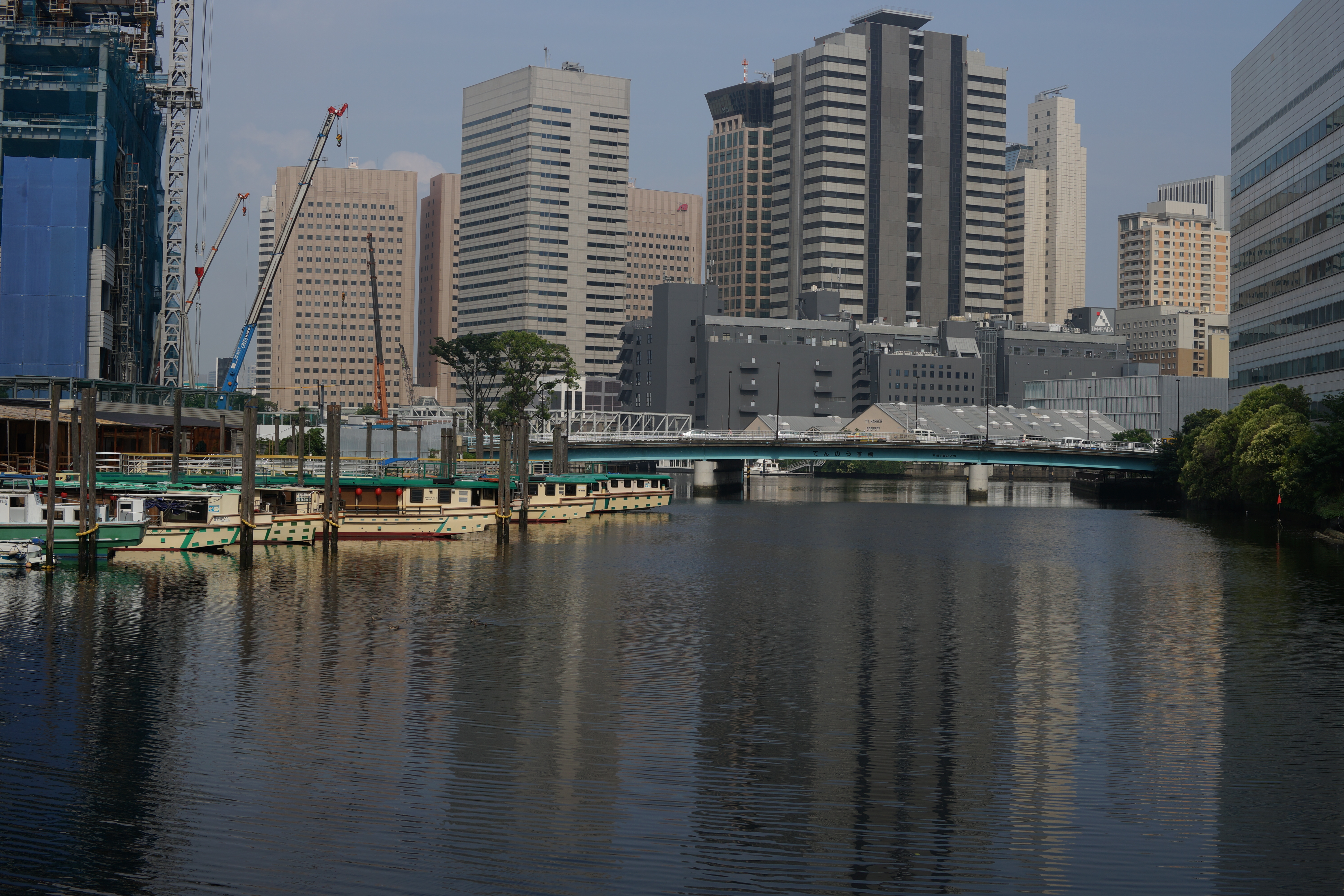 α99 / 1/500秒 / F8 / -0.7EV / ISO100 / 絞り優先AE / WB：オート / 50mm