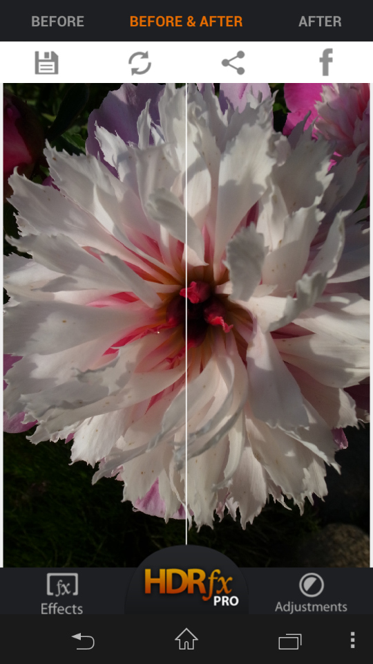 初期の表示モードは「BEFORE＆AFTER」。二分割されたうち、左側が元画像、右側が編集画像となる