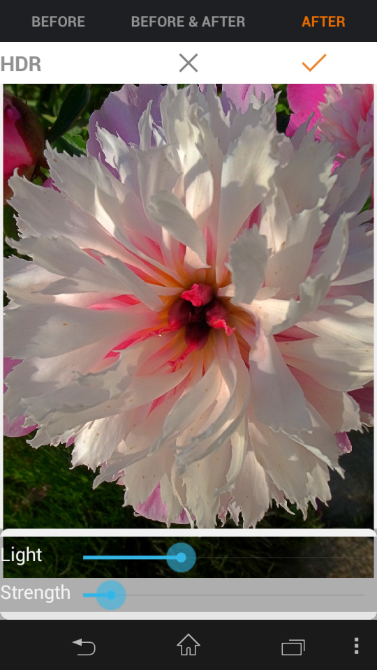 「BEFORE」と「AFTER」を見比べると、調整の程は明らか