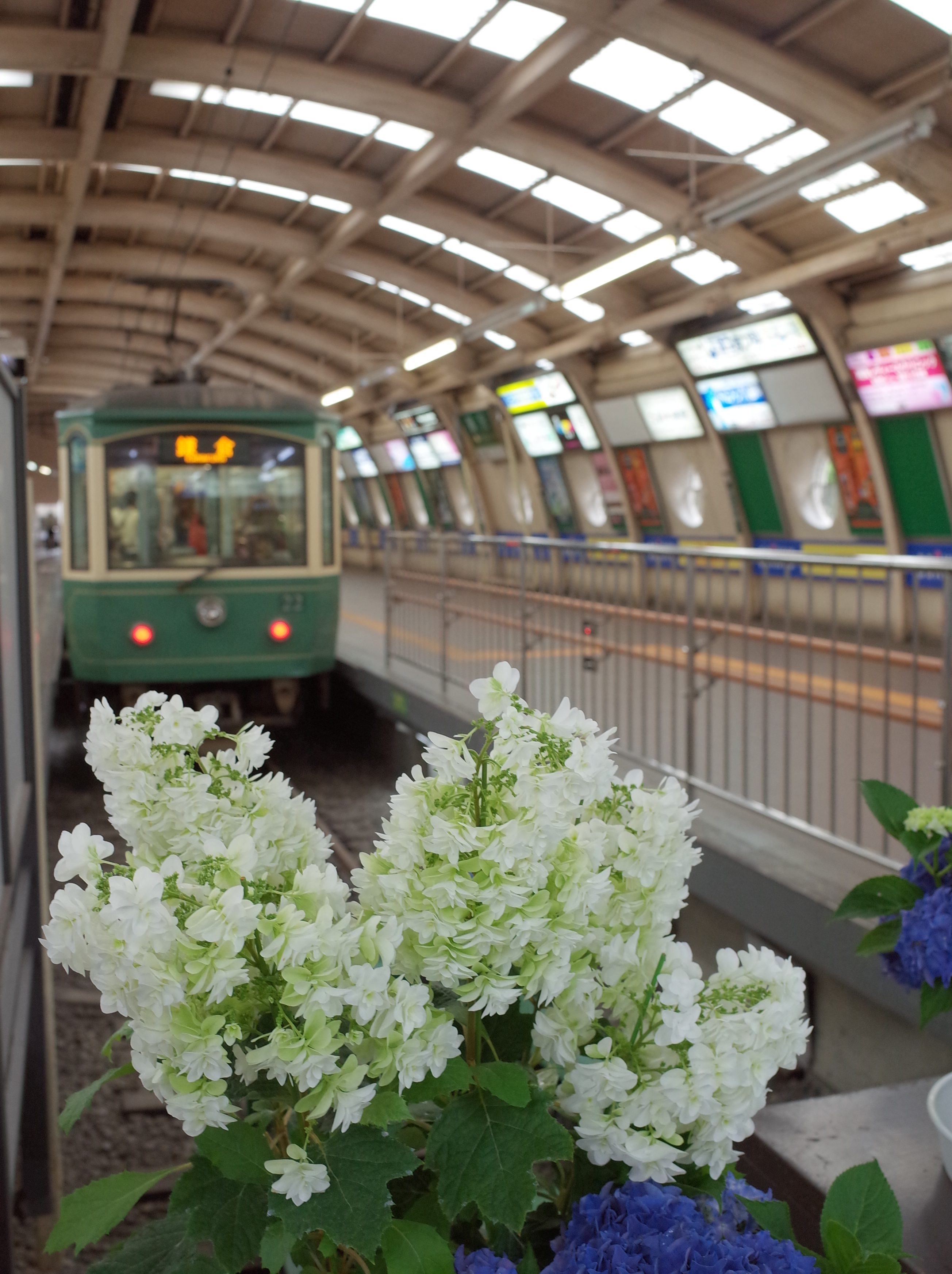 ひさしぶりのローカル電車。こっち側から乗るのは、初めてかも。駅の天井のアーチも雰囲気があります。1/40秒 / F4 / +1EV / ISO400 / プログラム / WB：オート / 18.3mm（35mmクロップ）