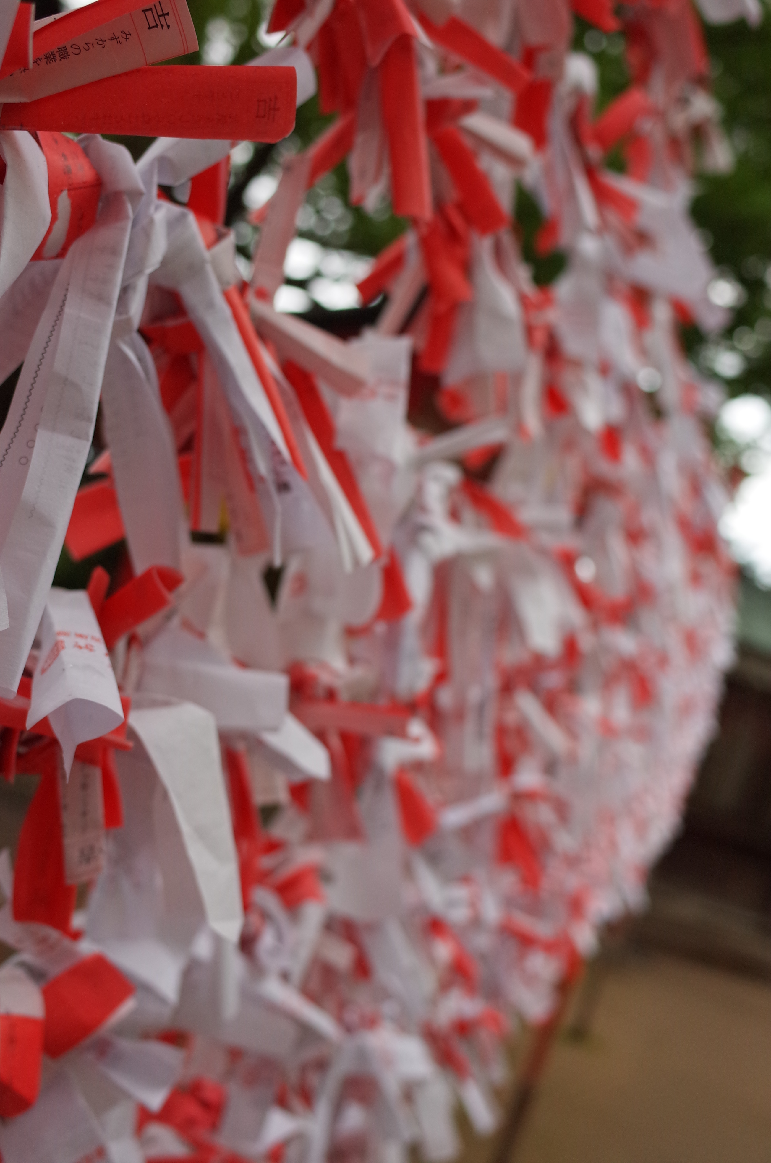 赤と白の対比とボケ具合が、雰囲気のある写真になりました。お願い事、かなうといいですね。1/320秒 / F2.8 / +0.3EV / ISO400 / 絞り優先AE / WB：オート / 18.3mm（35mmクロップ）