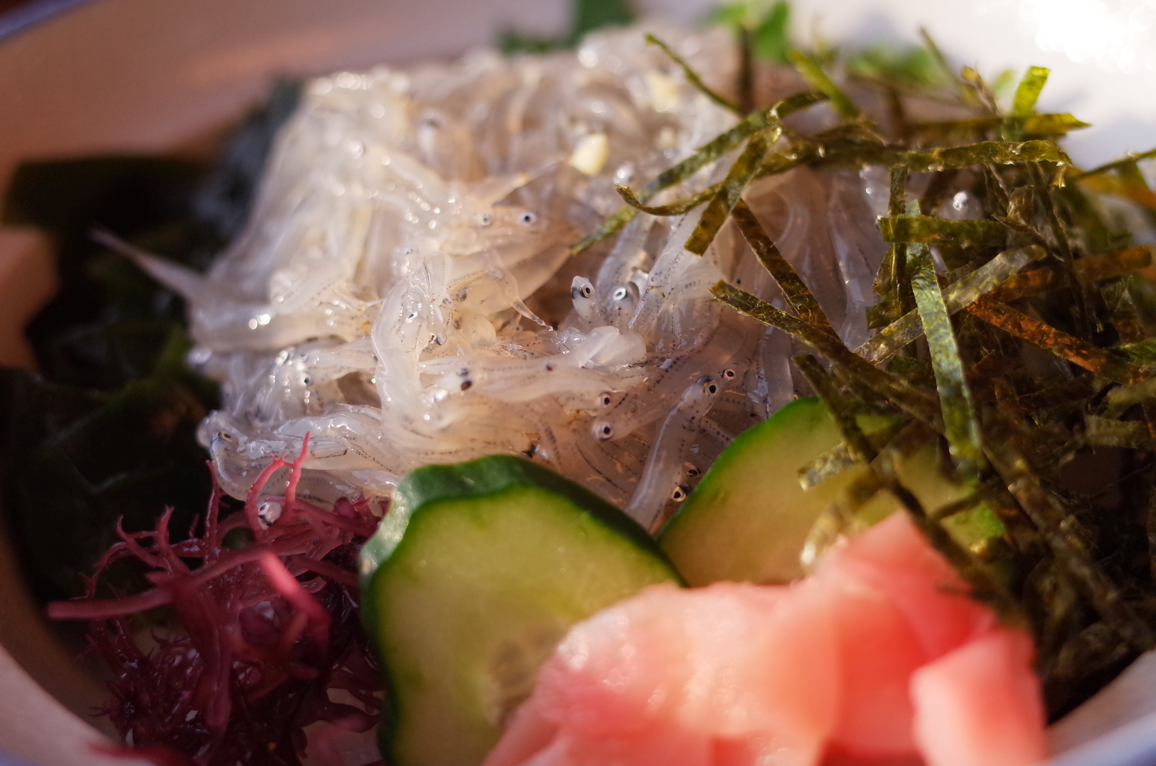 おなかが空いたので、某有名店で一休み。自ら、海を一望できる窓際の席へ。少し太陽が出てきてくれたので、横からの光で「生シラス丼」。1/350秒 / F2.8 / +0.3EV / ISO400 / 絞り優先AE / WB：オート / 18.3mm（35mmクロップ）