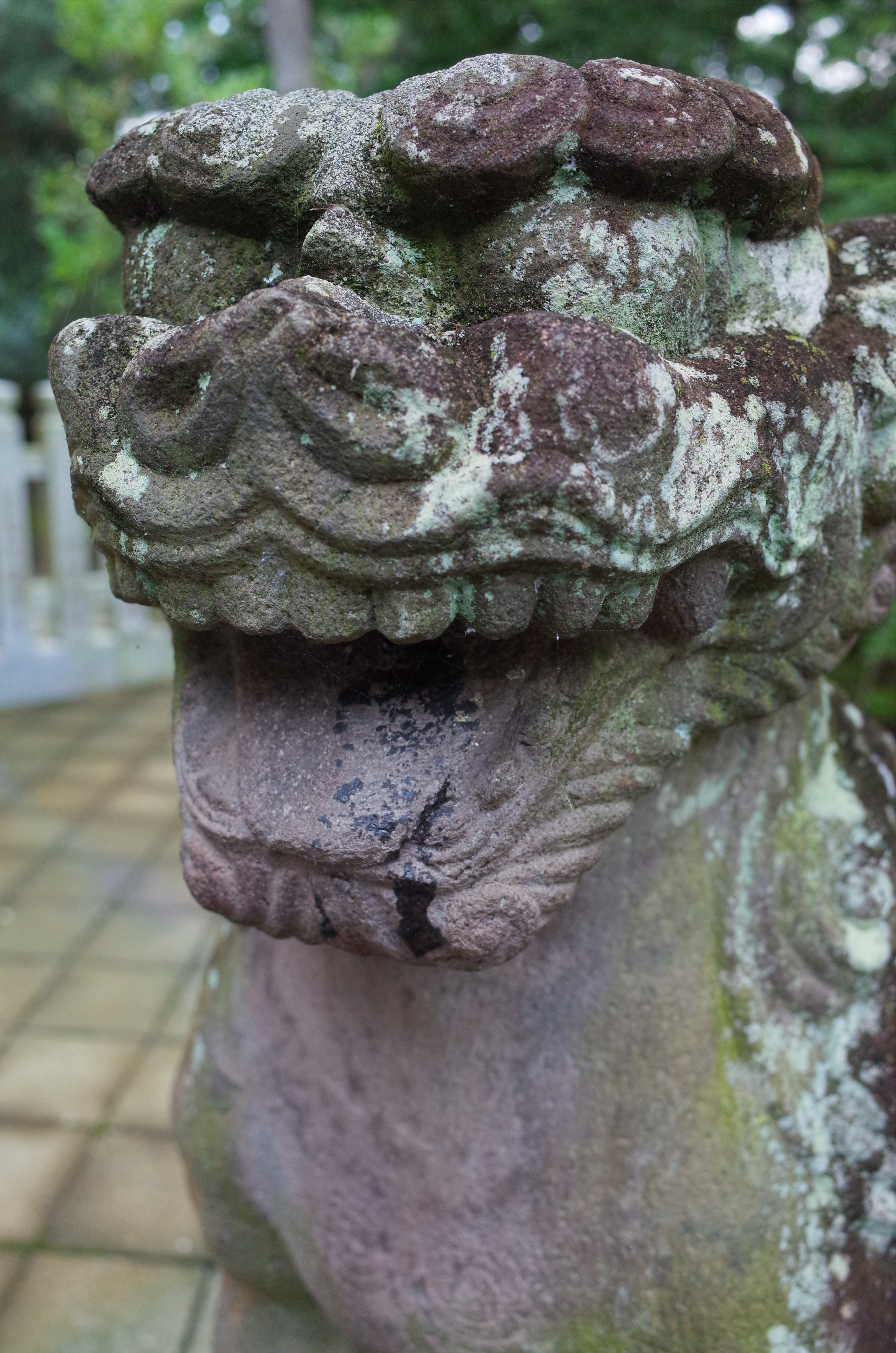 苔むした狛犬。ここは、古いモノと新しいモノが混在しています。なんだか、いいなぁ。1/40秒 / F4 / 0EV / ISO800 / プログラム / WB：オート / 18.3mm