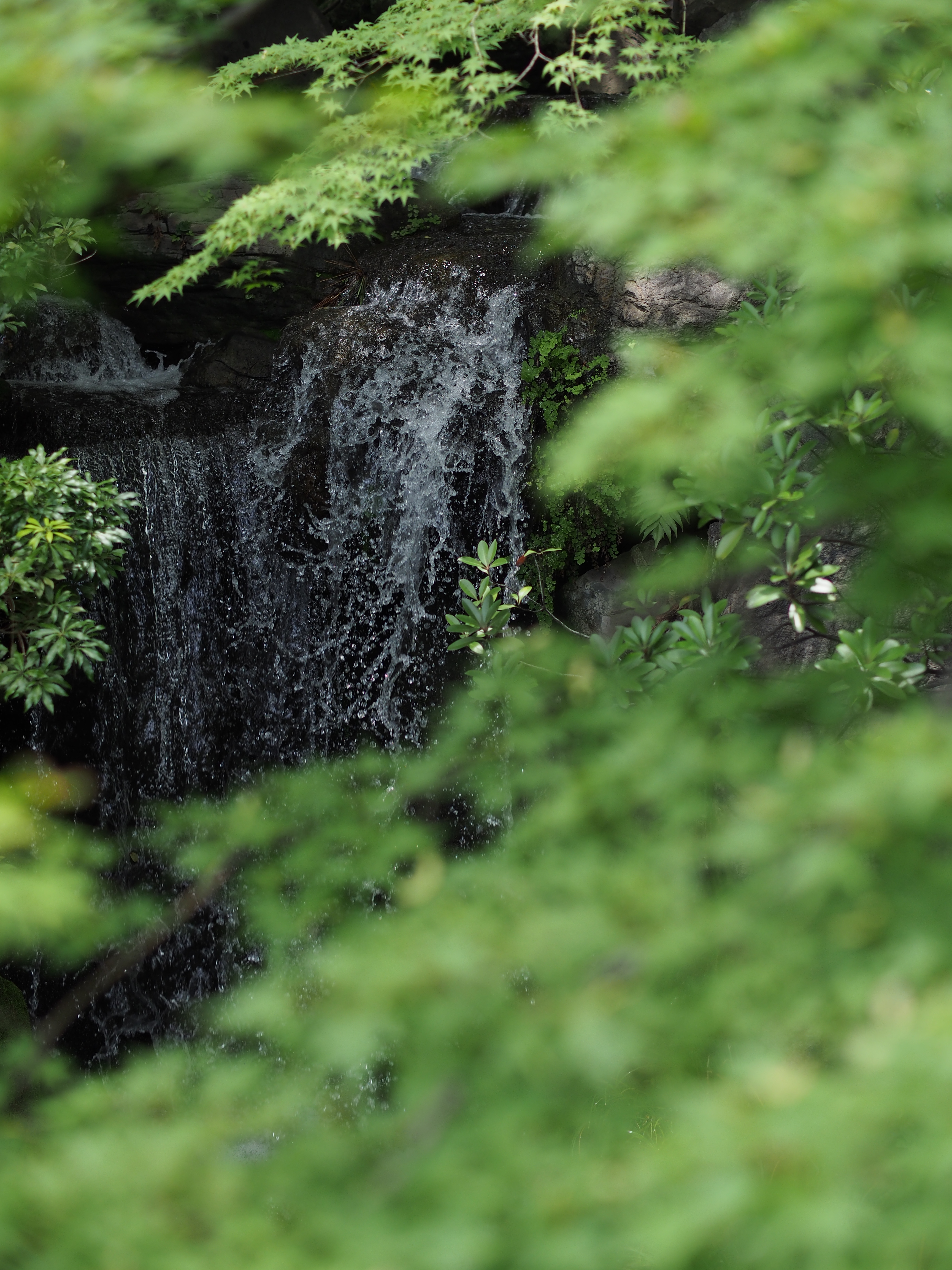 E-P5 / 1/800秒 / F2 / -0.7EV / ISO200 / 絞り優先AE / WB：オート / 42.5mm