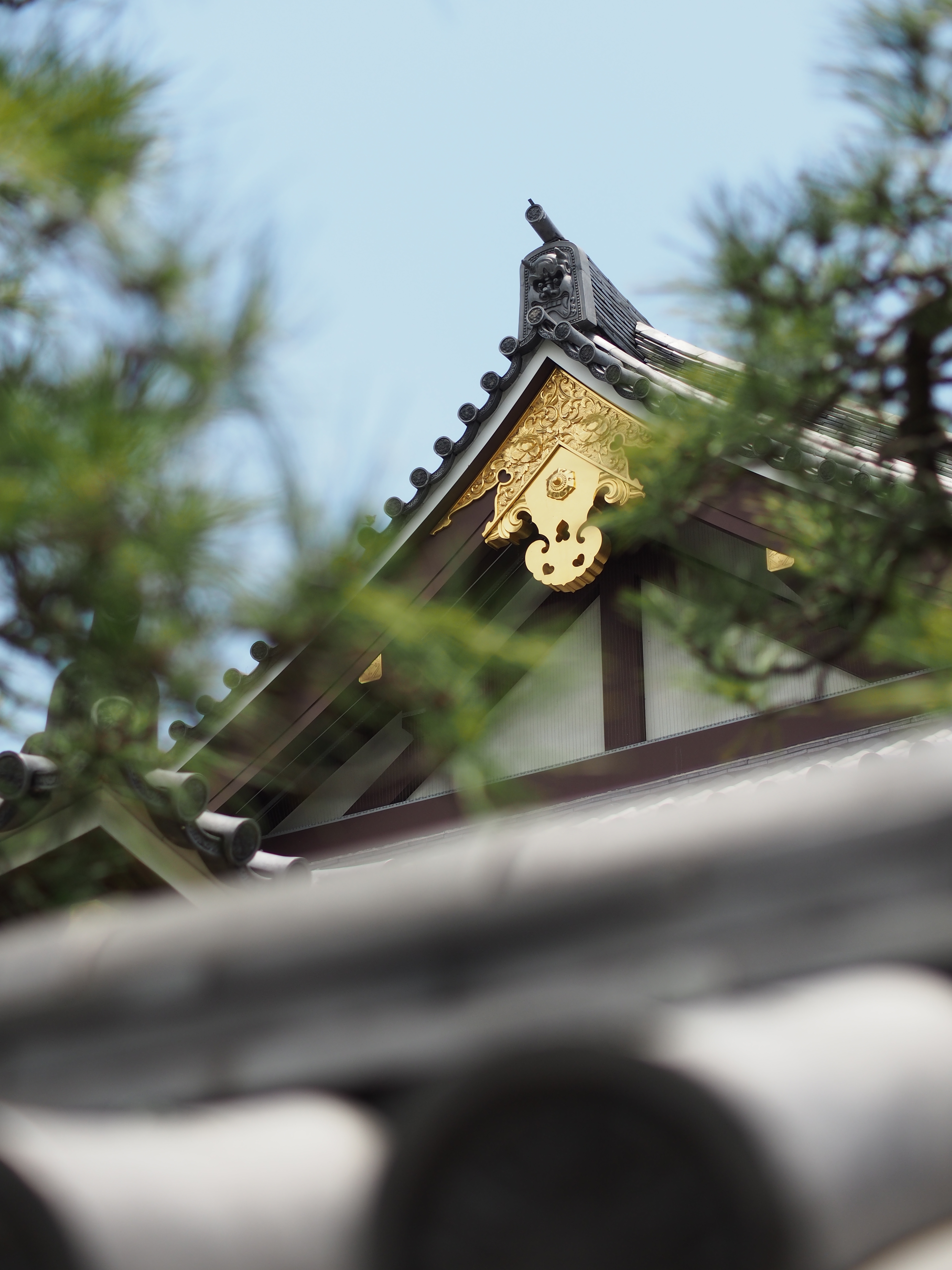 E-P5 / 1/4,000秒 / F2 / 0EV / ISO200 / 絞り優先AE / WB：オート / 42.5mm