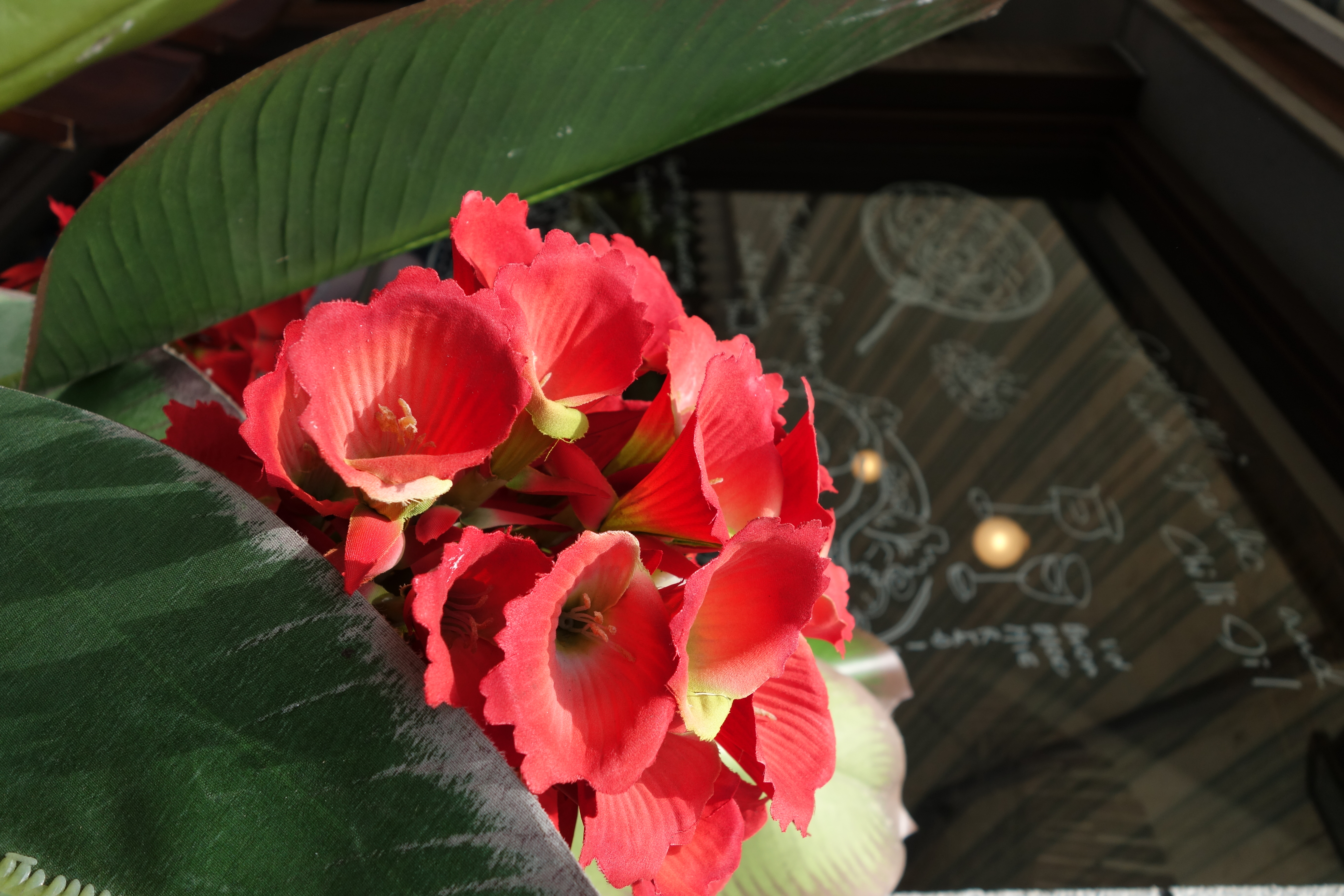 DSC-RX100M2 / 3,648×5,472 / ISO160 / F4 / 1/800秒 / 10.4mm（28mm相当）