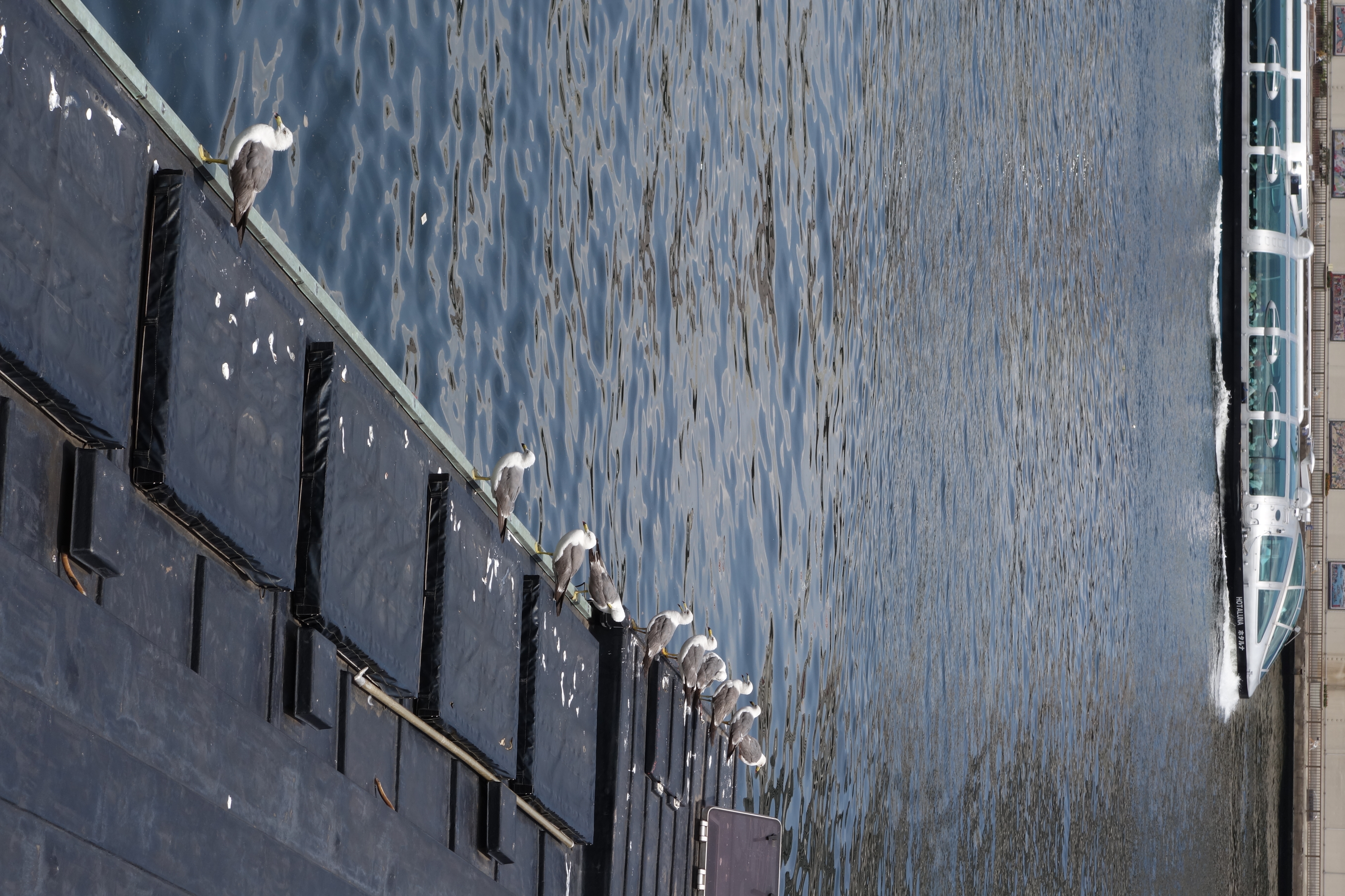 DSC-RX100M2 / 3,648×5,472 / ISO160 / F9 / 1/250秒 / 37mm（100mm相当）